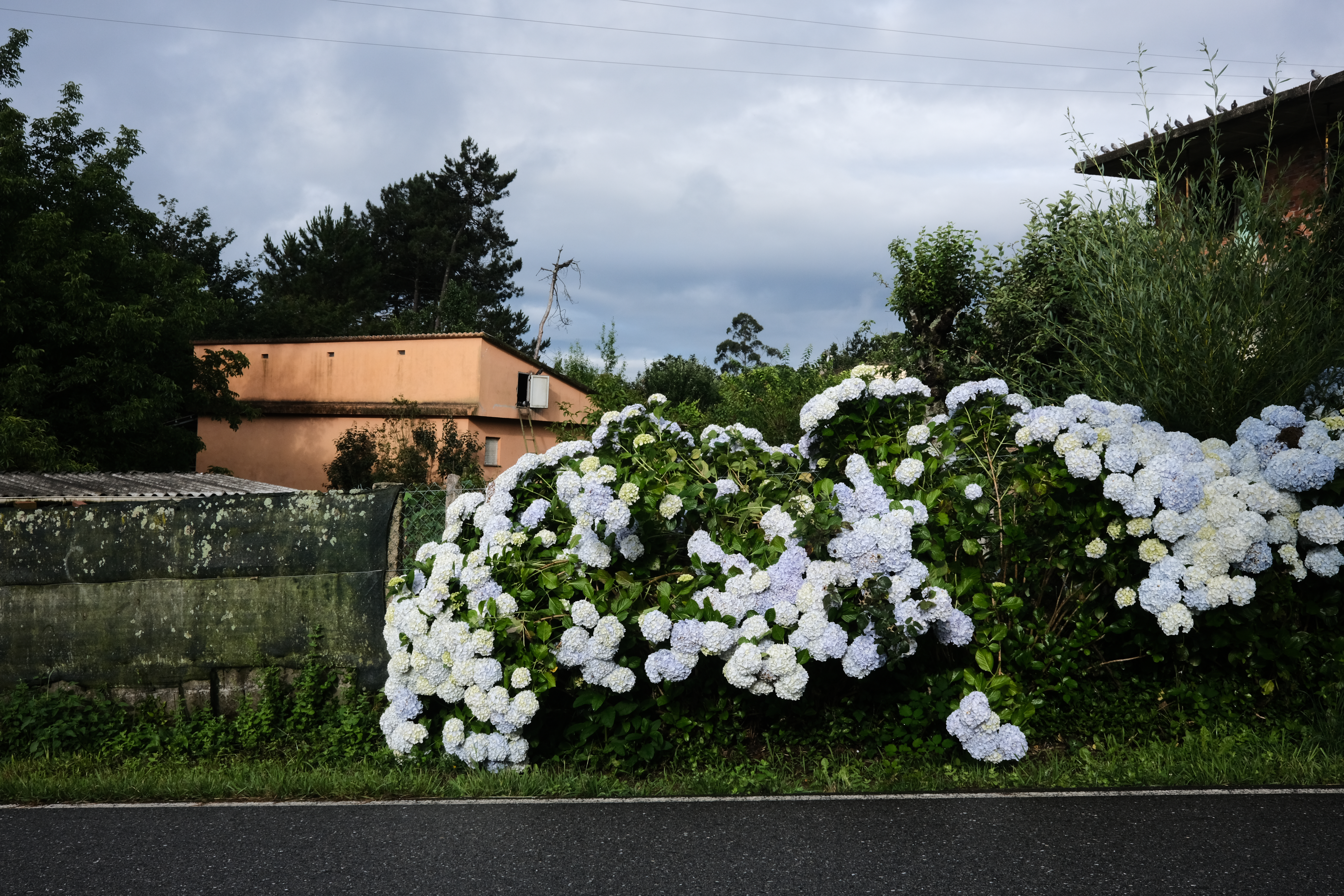 Camino Portuguese, Day 2
