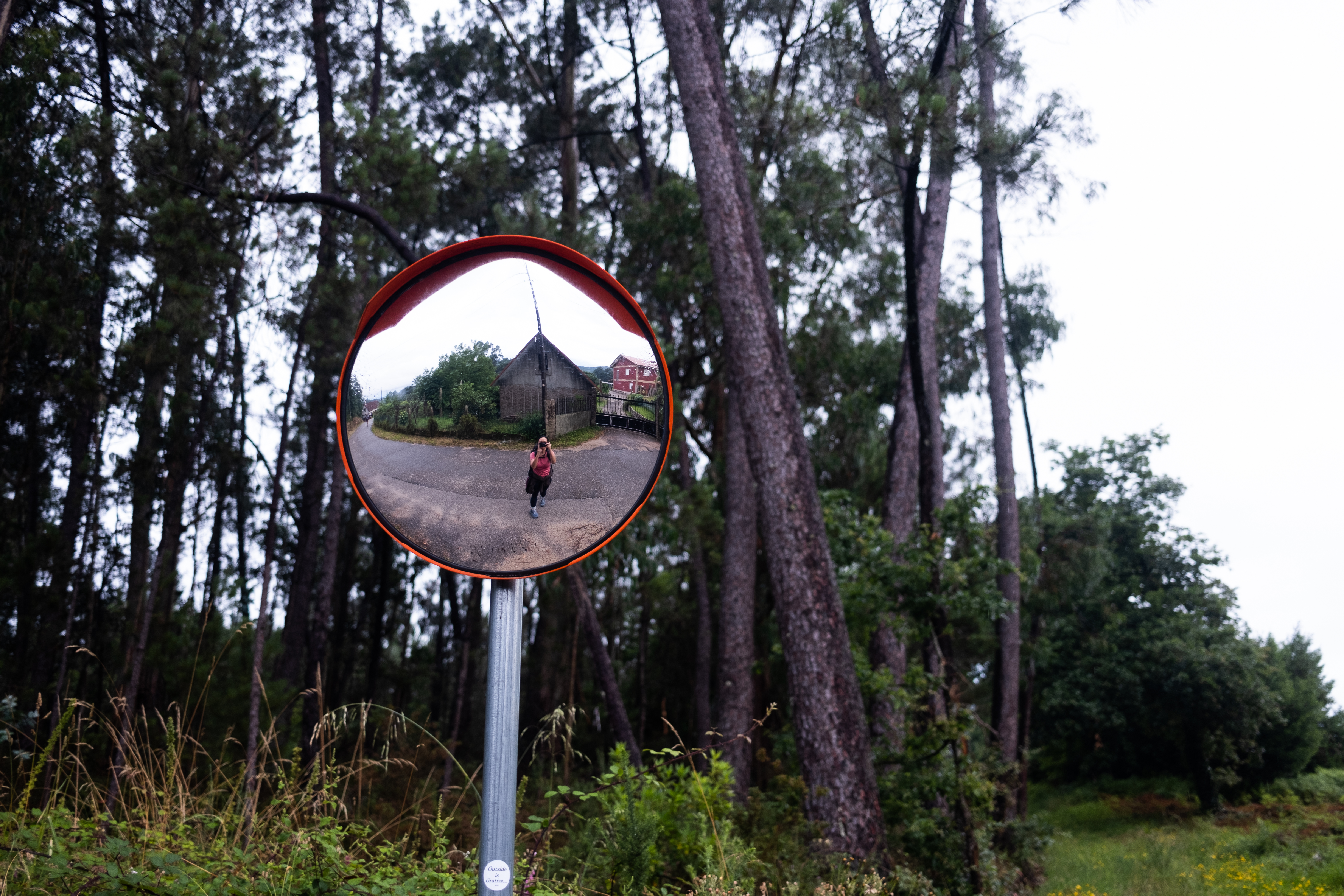 Reflection in a mirror