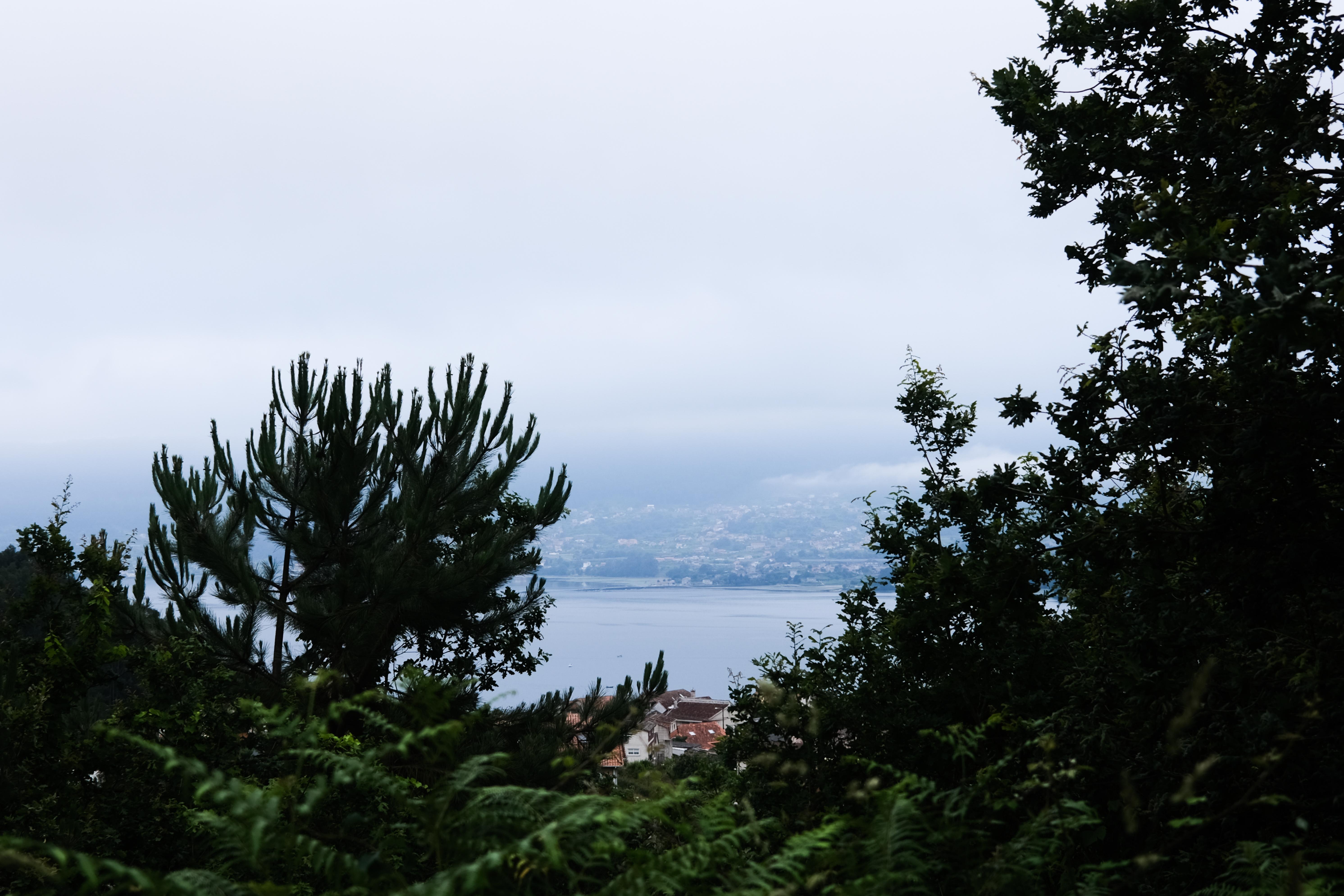 Trail through the countryside