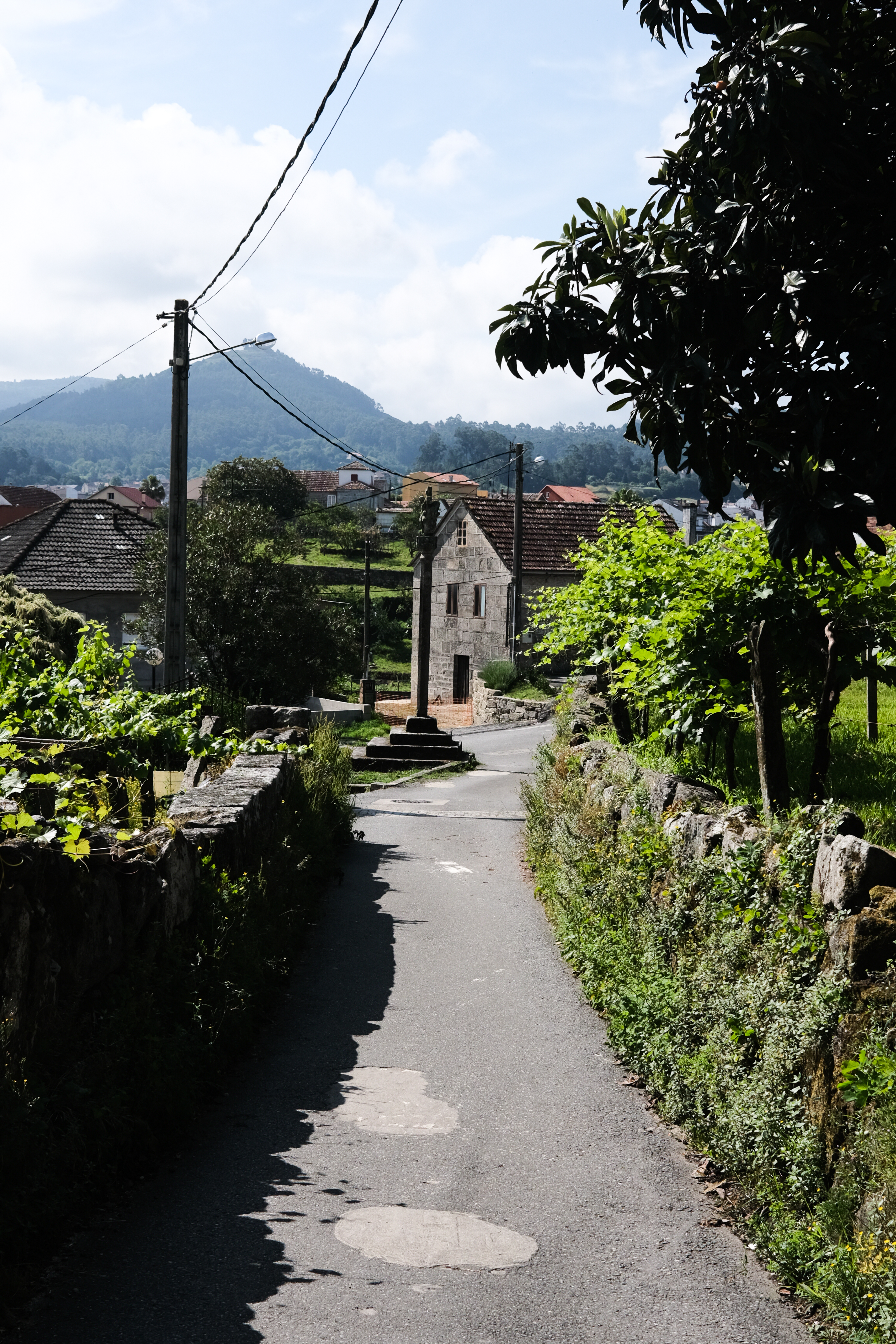 Beautiful bridge on the trail