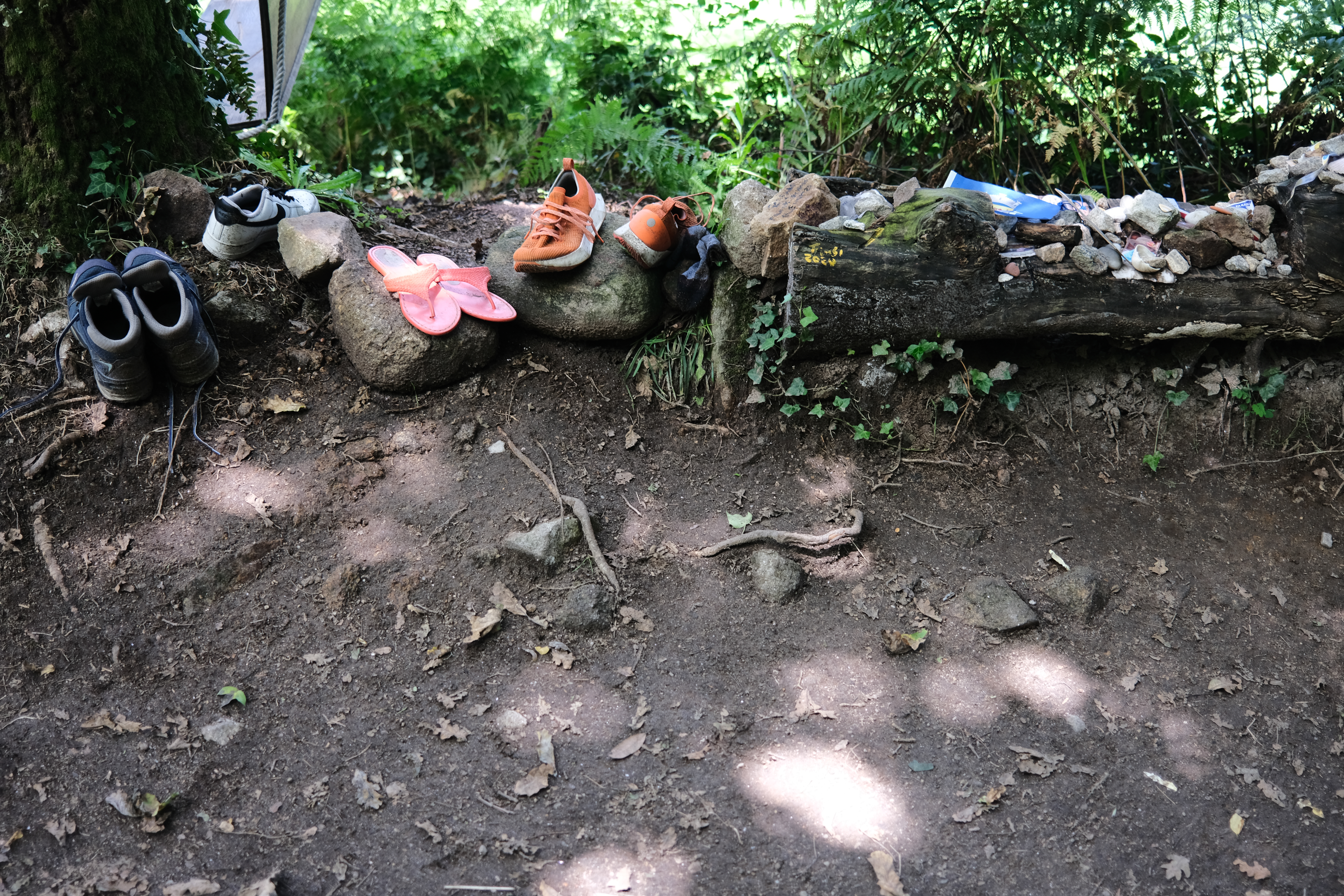 Approaching the river path