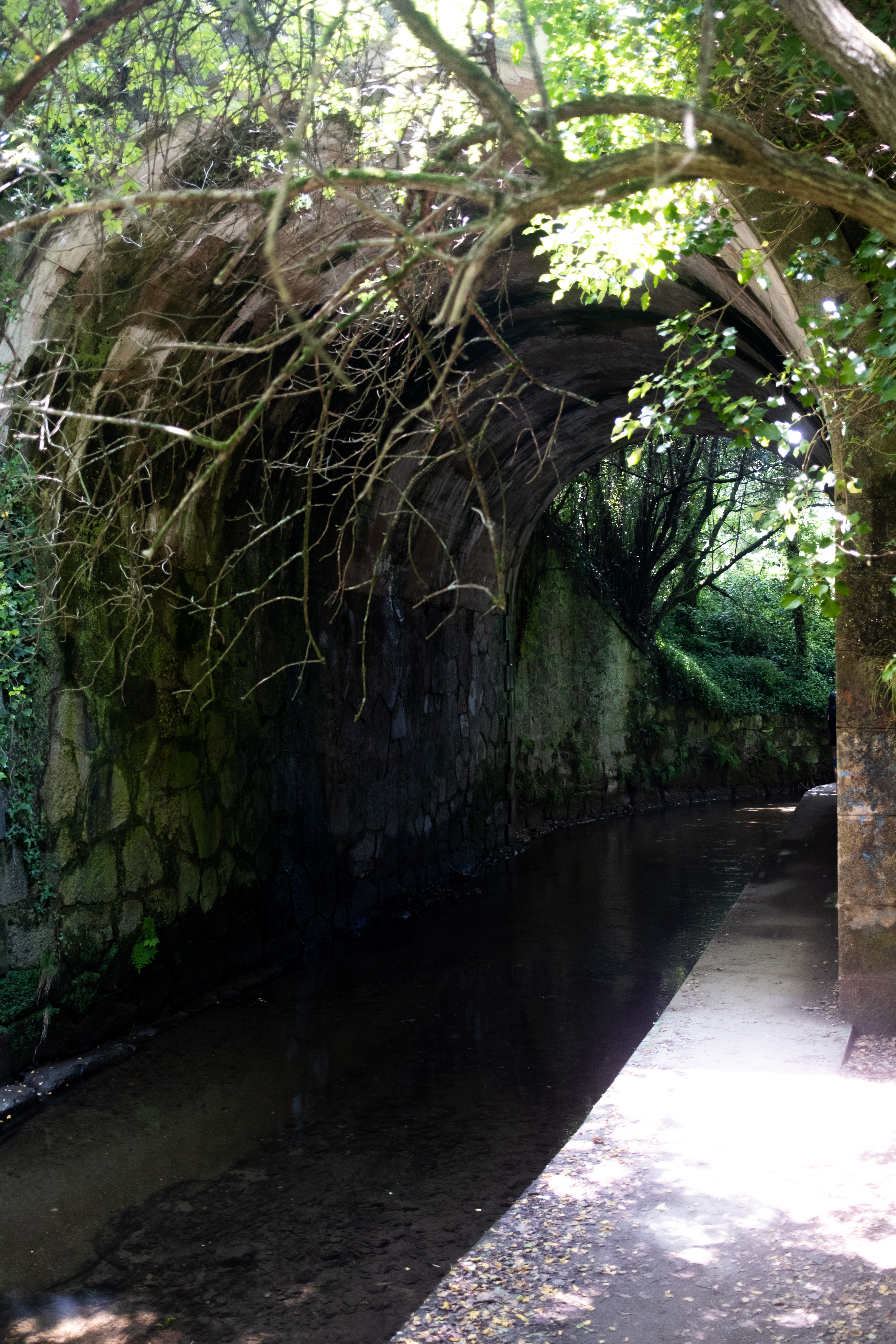 Resting by the river