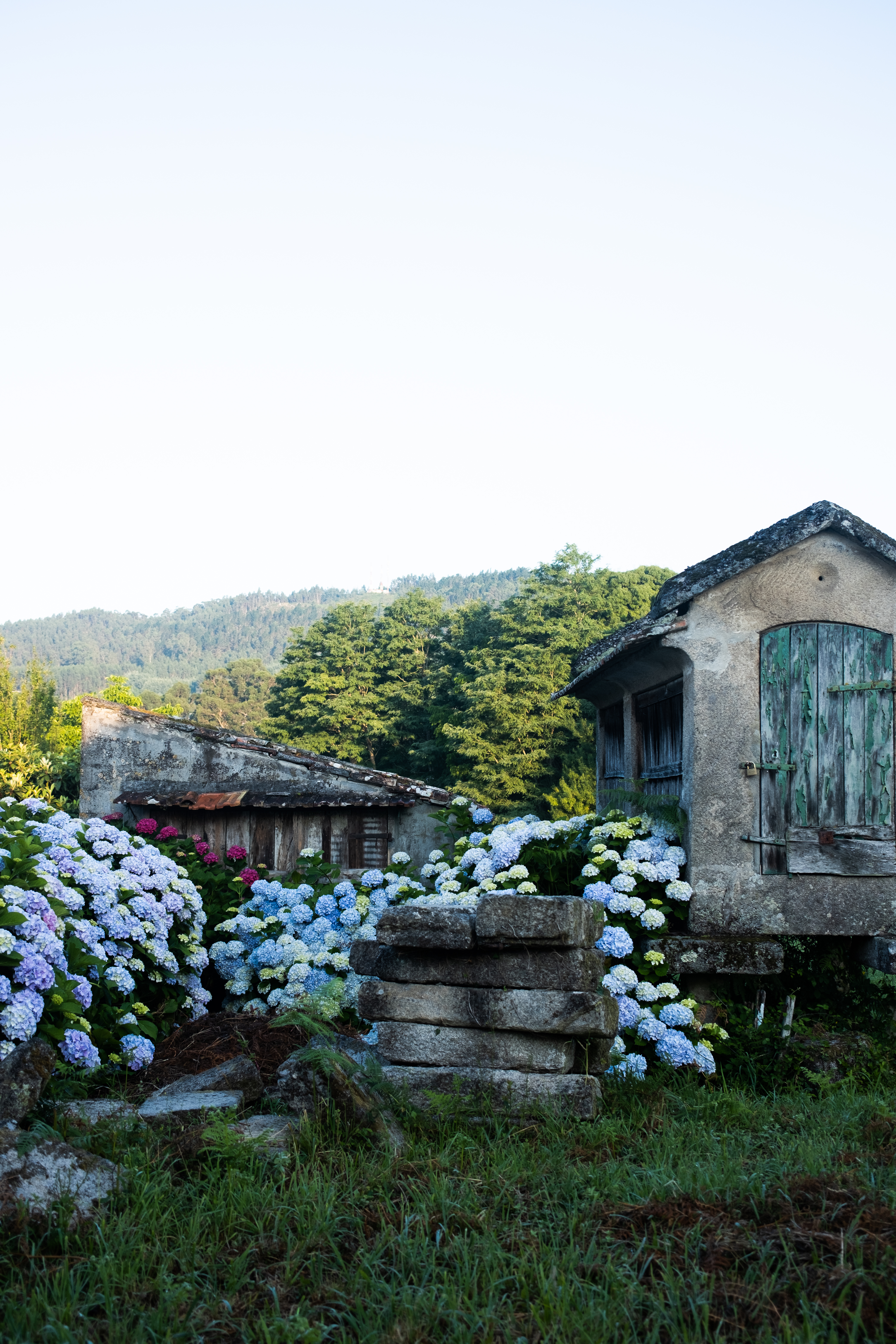 Trail through the countryside