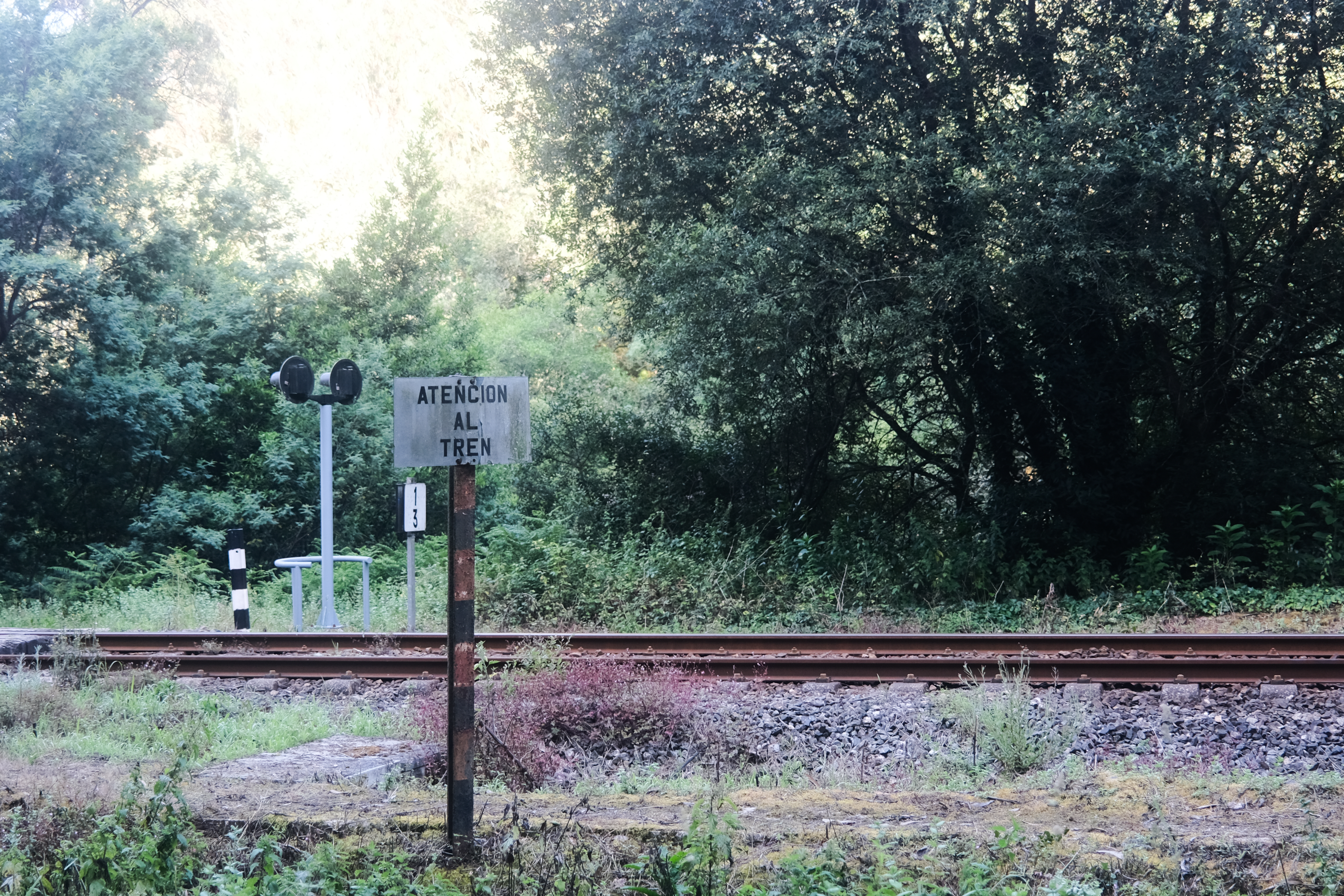 Continuing along the trail