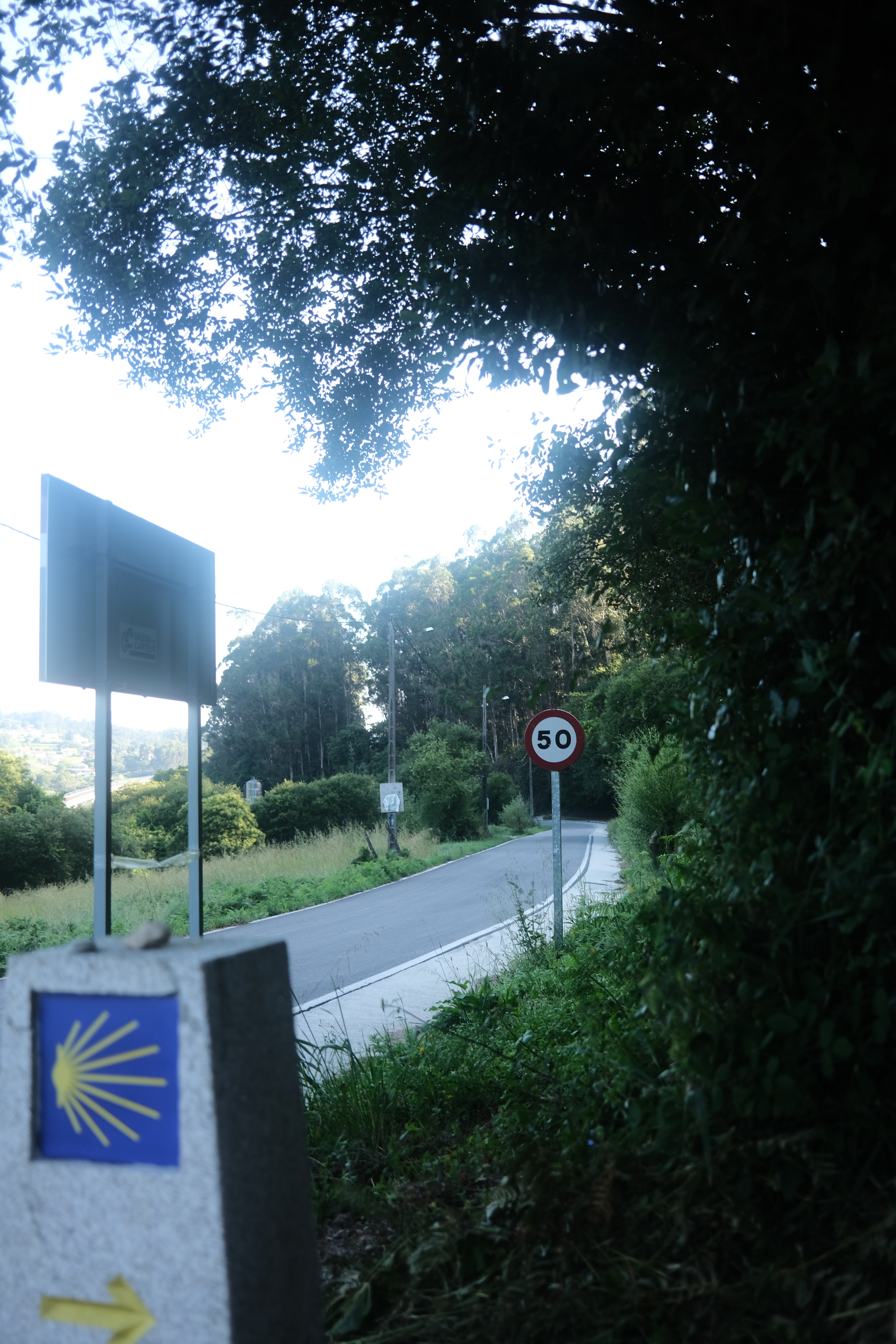 Evening in Caldas de Reis