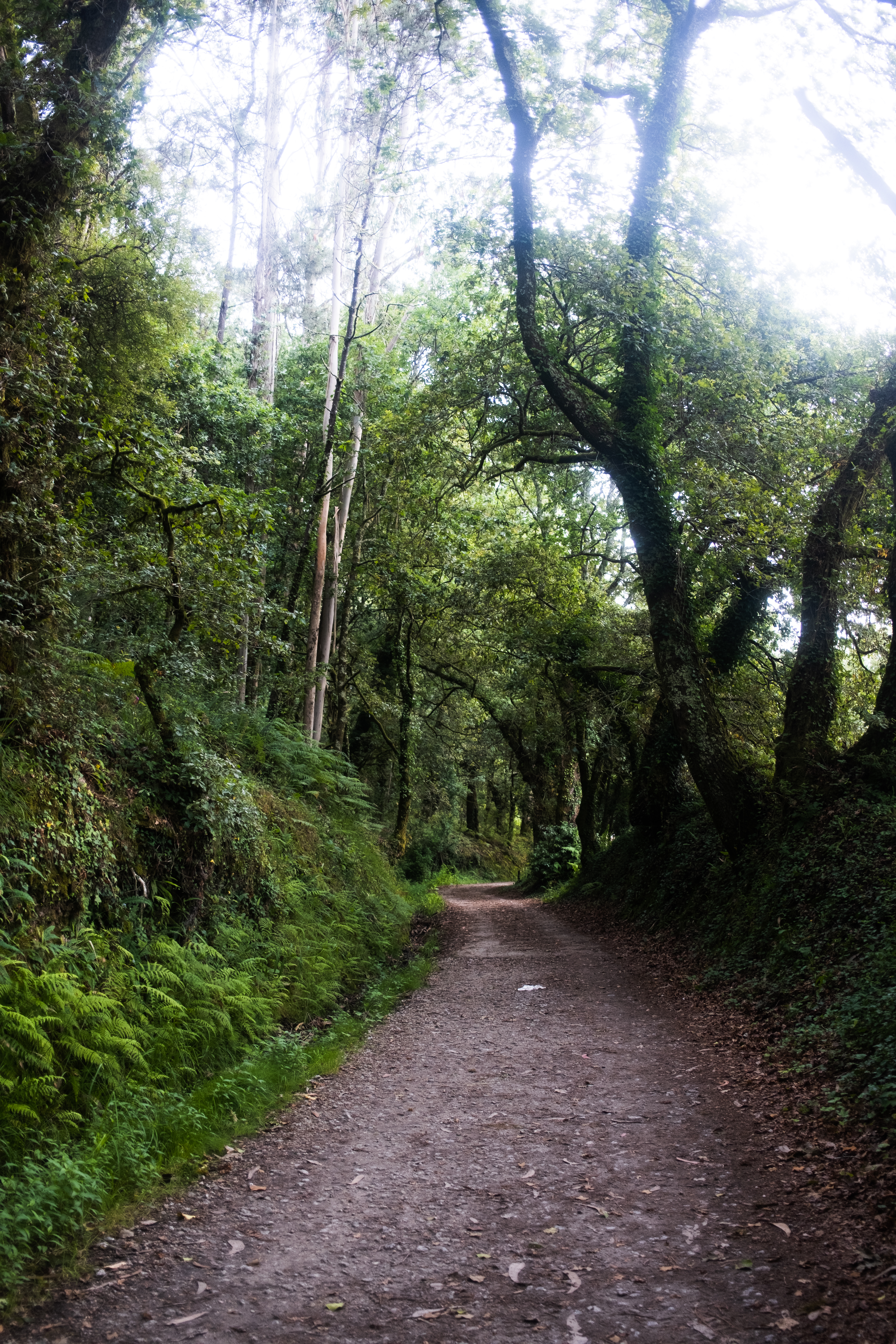 Leaving Caldas de Reis