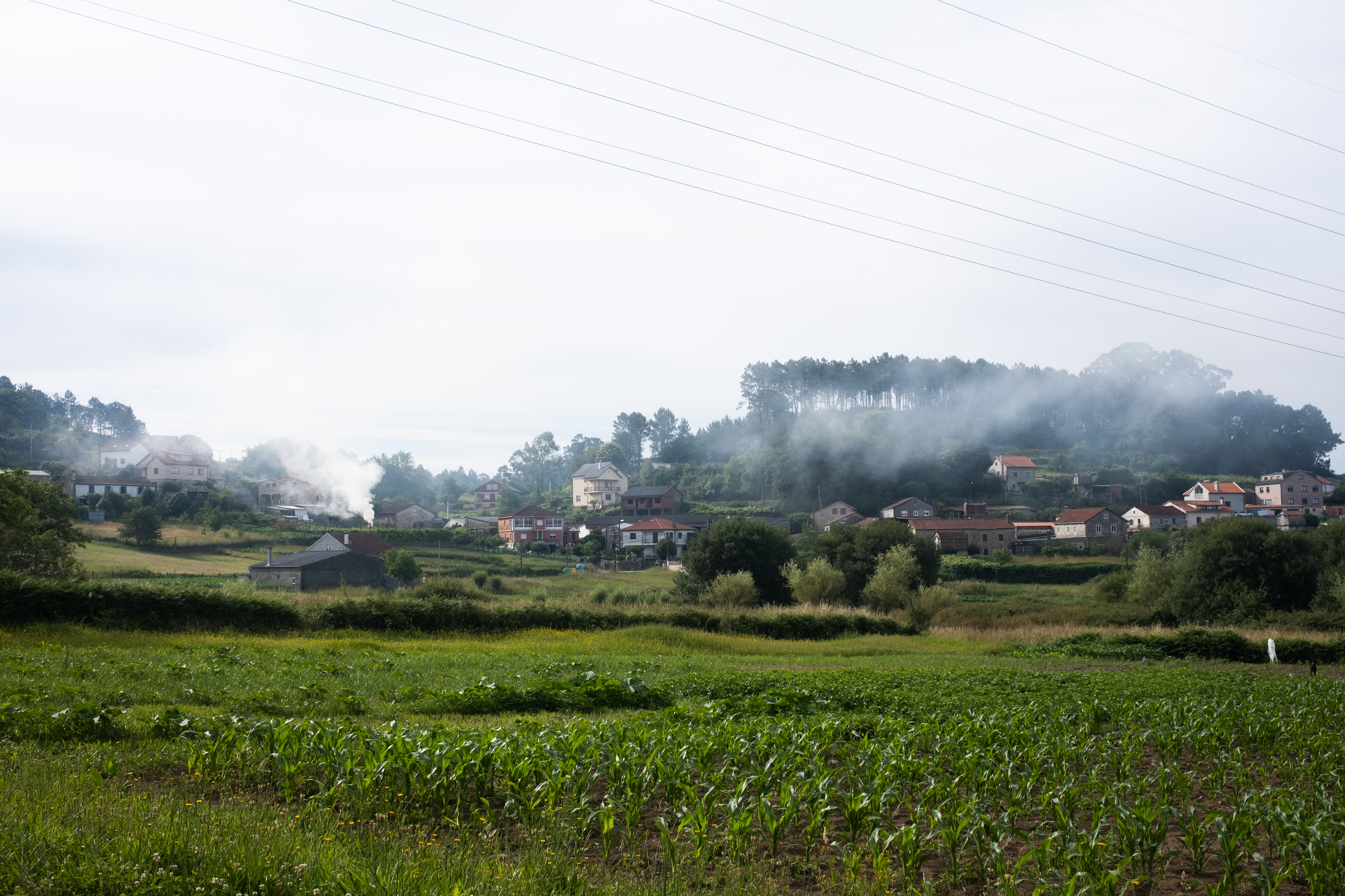 Trail through the countryside