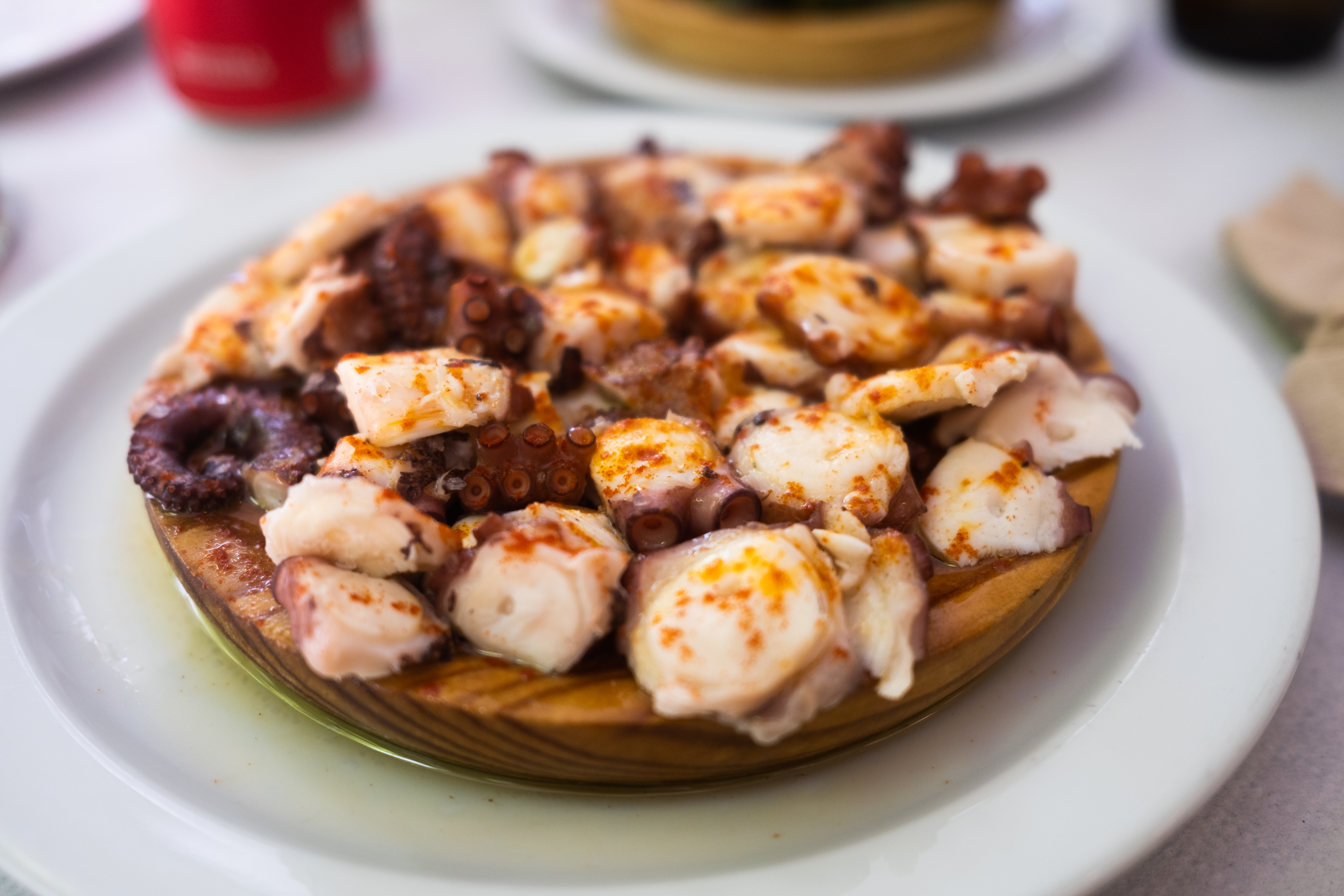 Paseo Do Espolón in Padrón