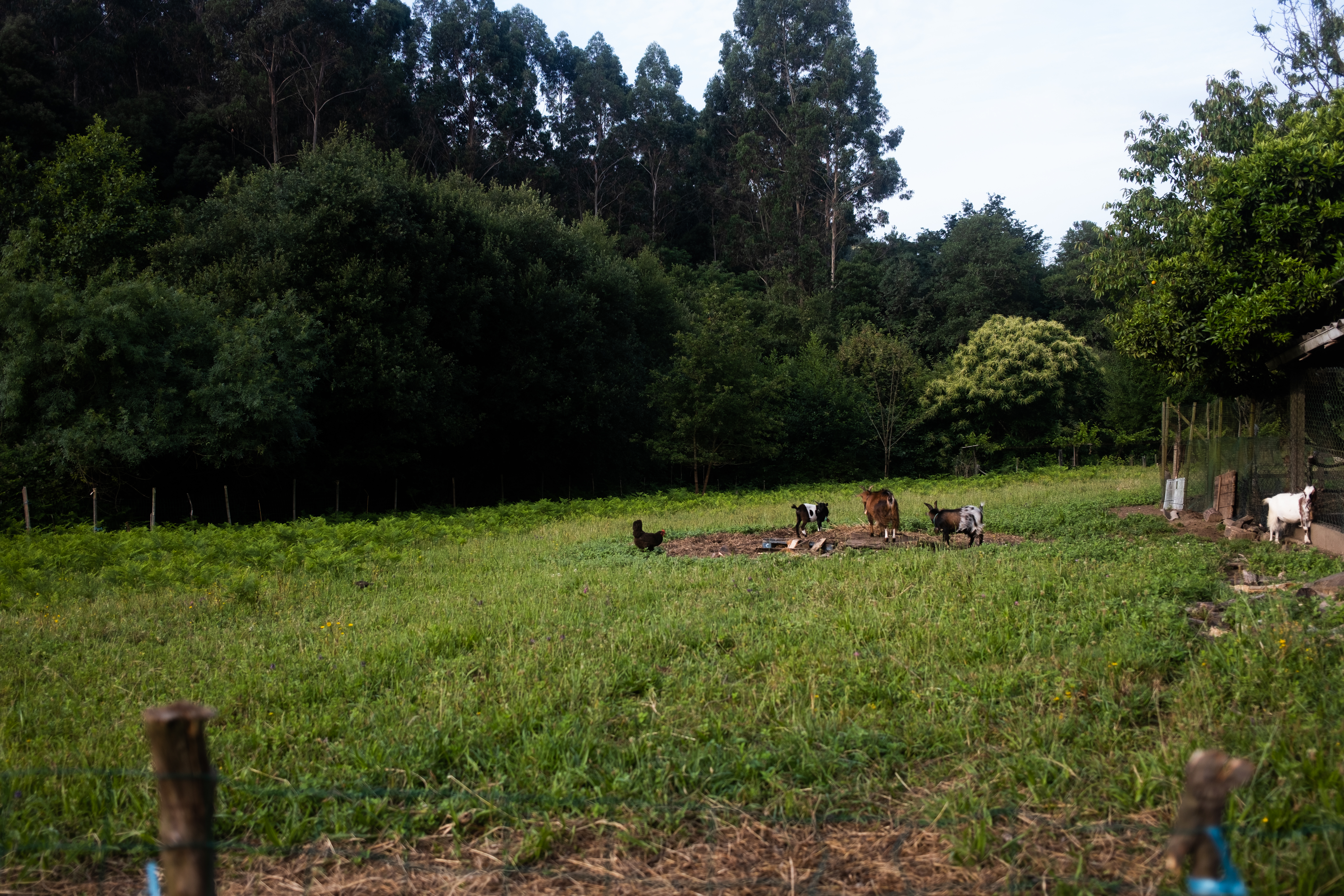 Traditional architecture