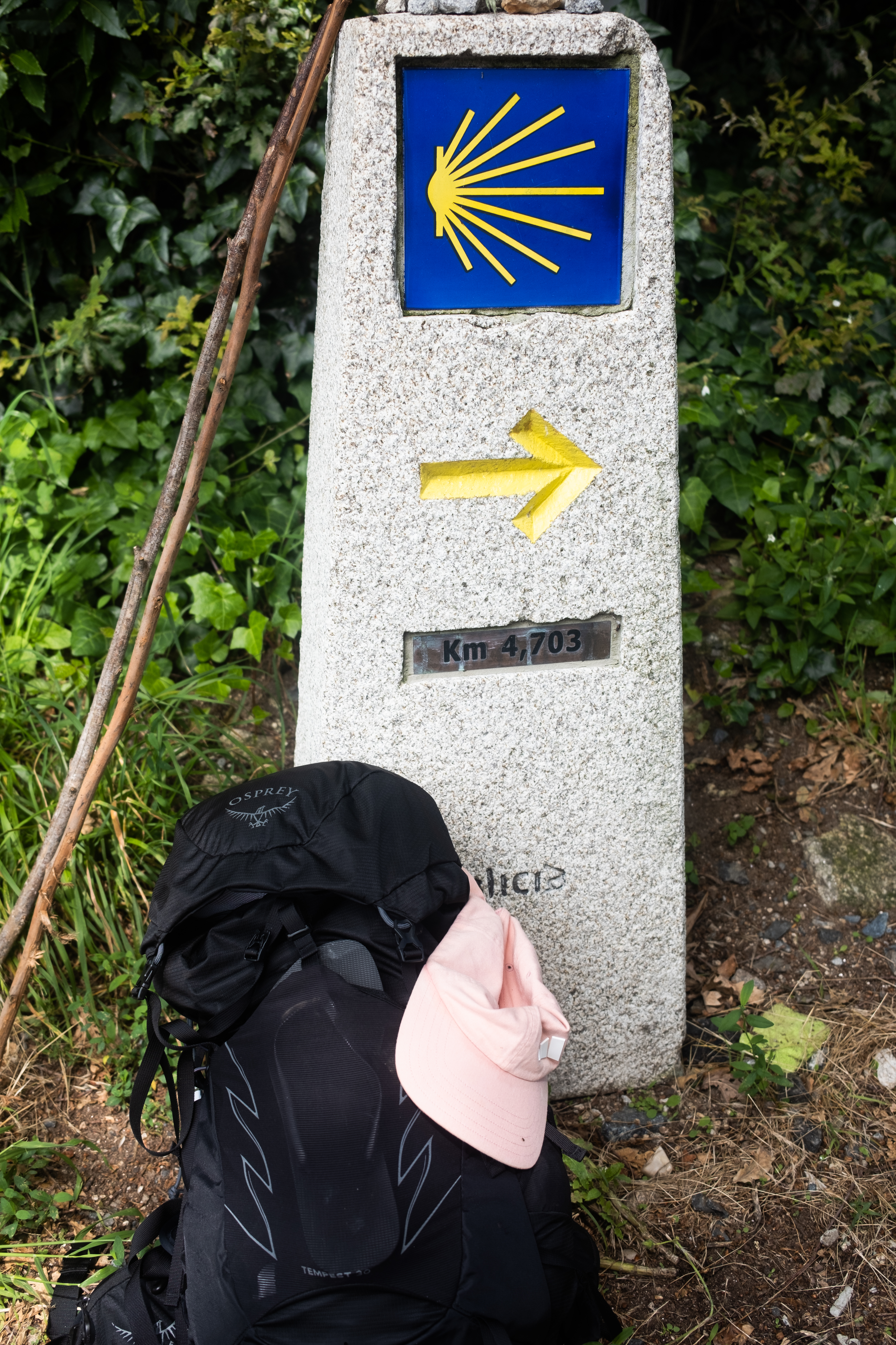 Flowers along the way