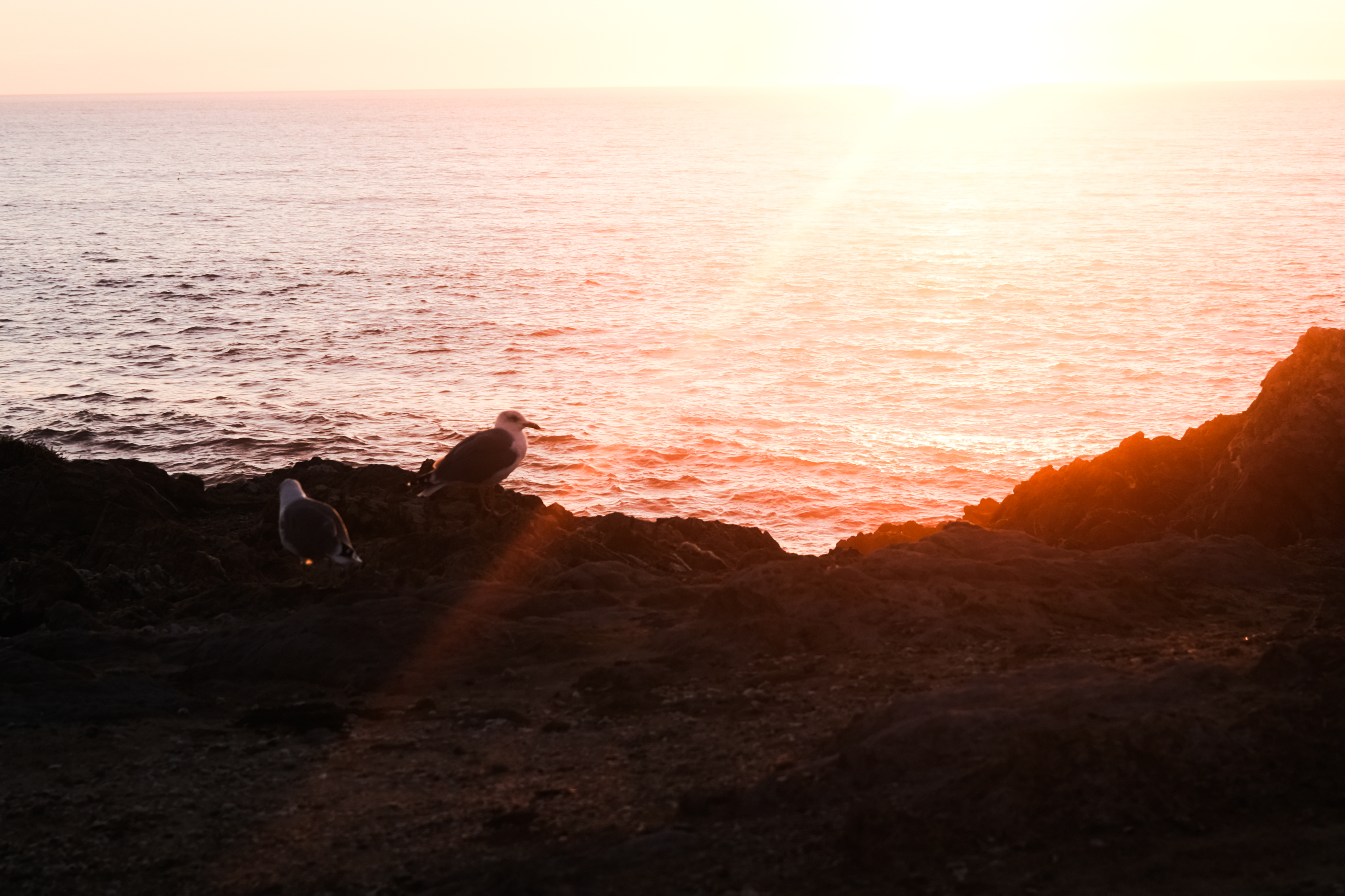 Sunset view over the ocean