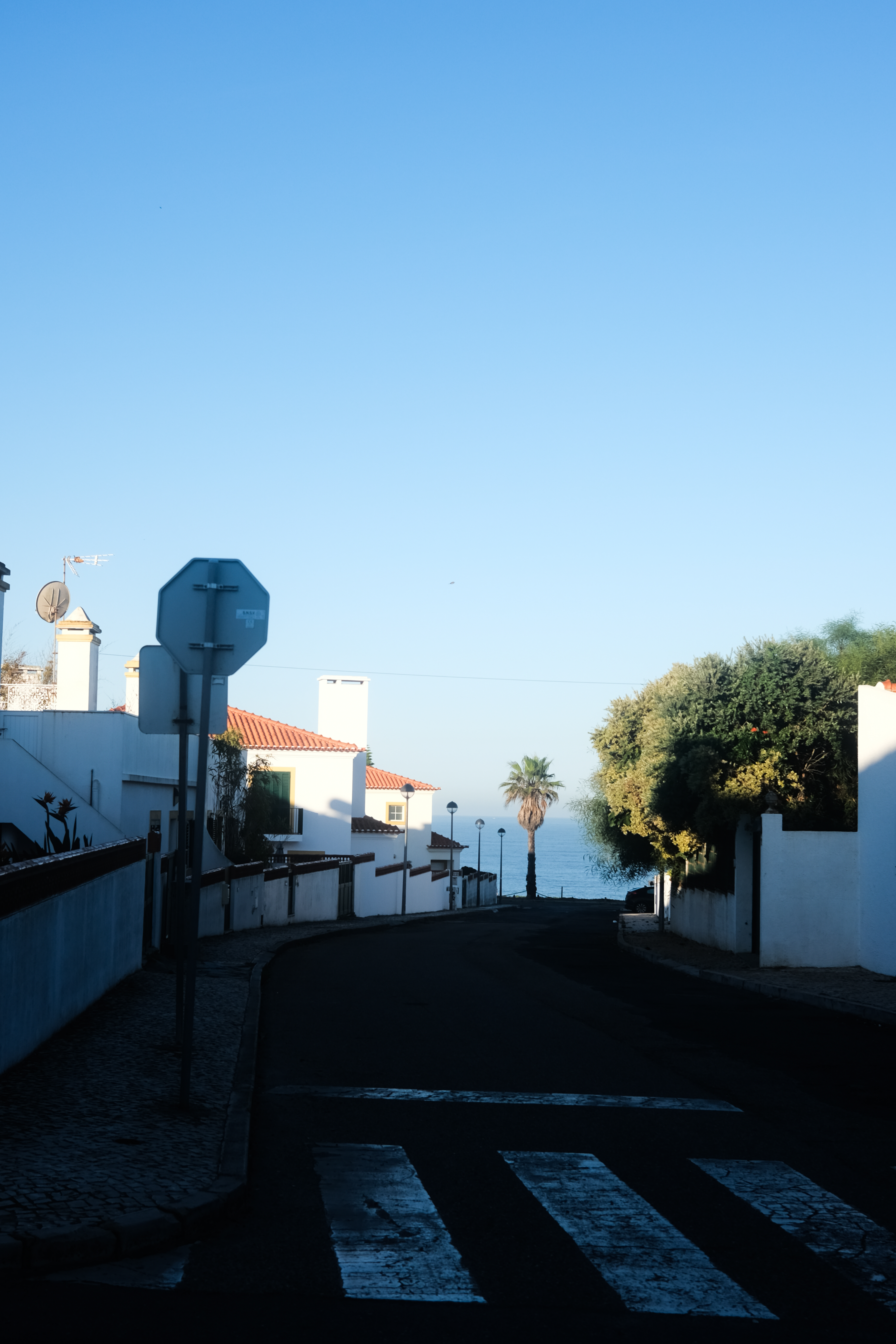 Morning view from the apartment