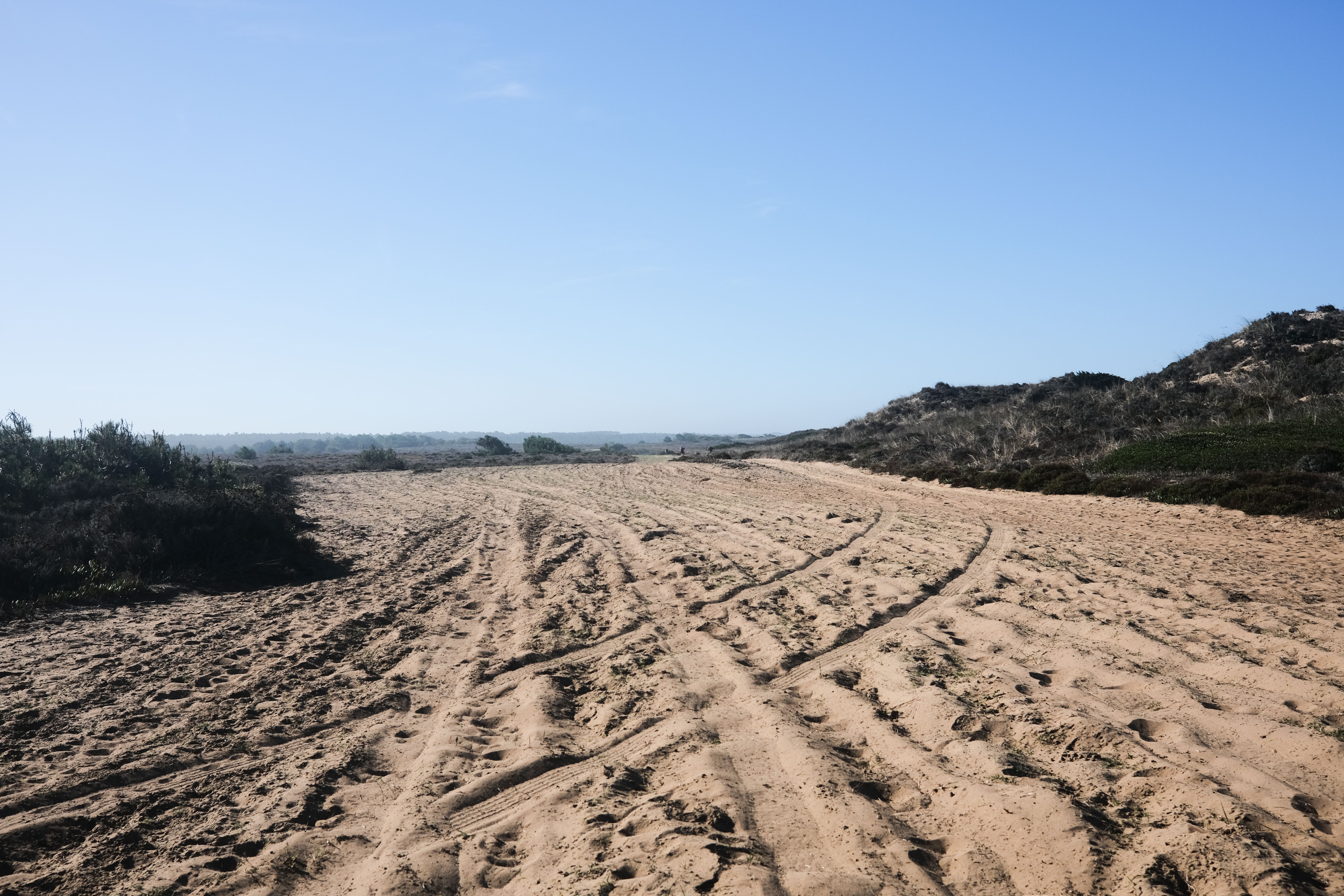 Rocky coastline and waves