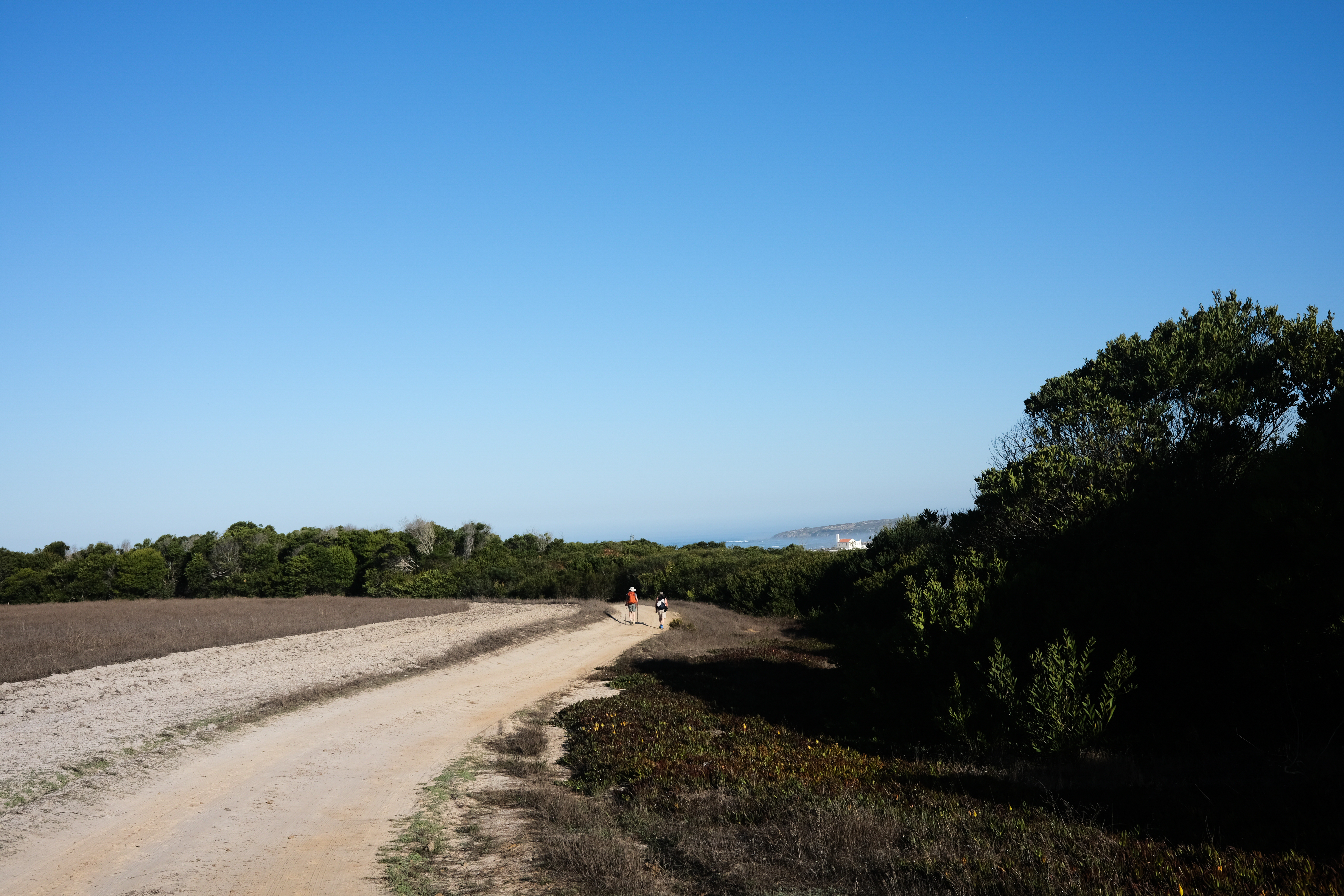 Sketching the coastal view