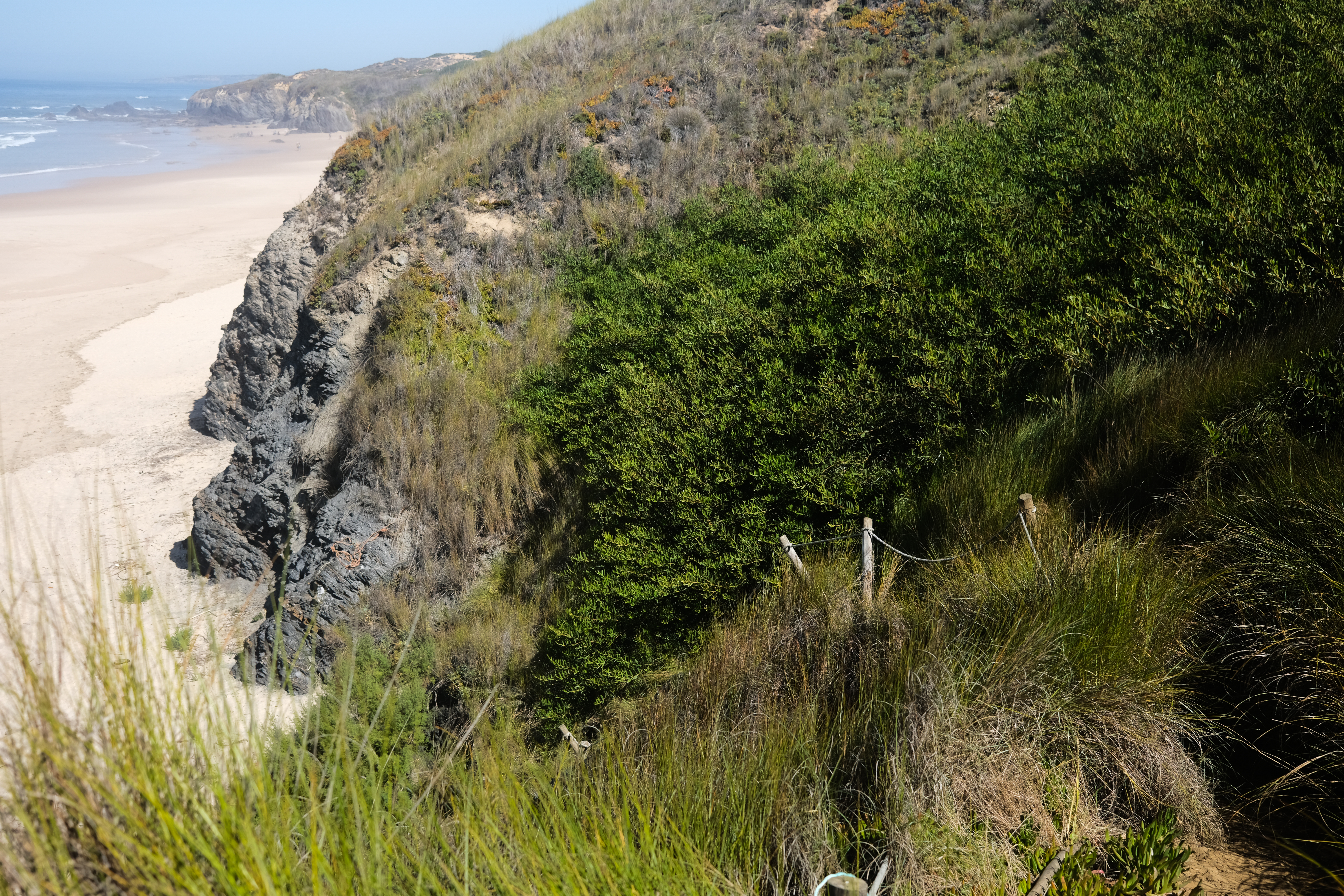 Muddy stairs back to the trail