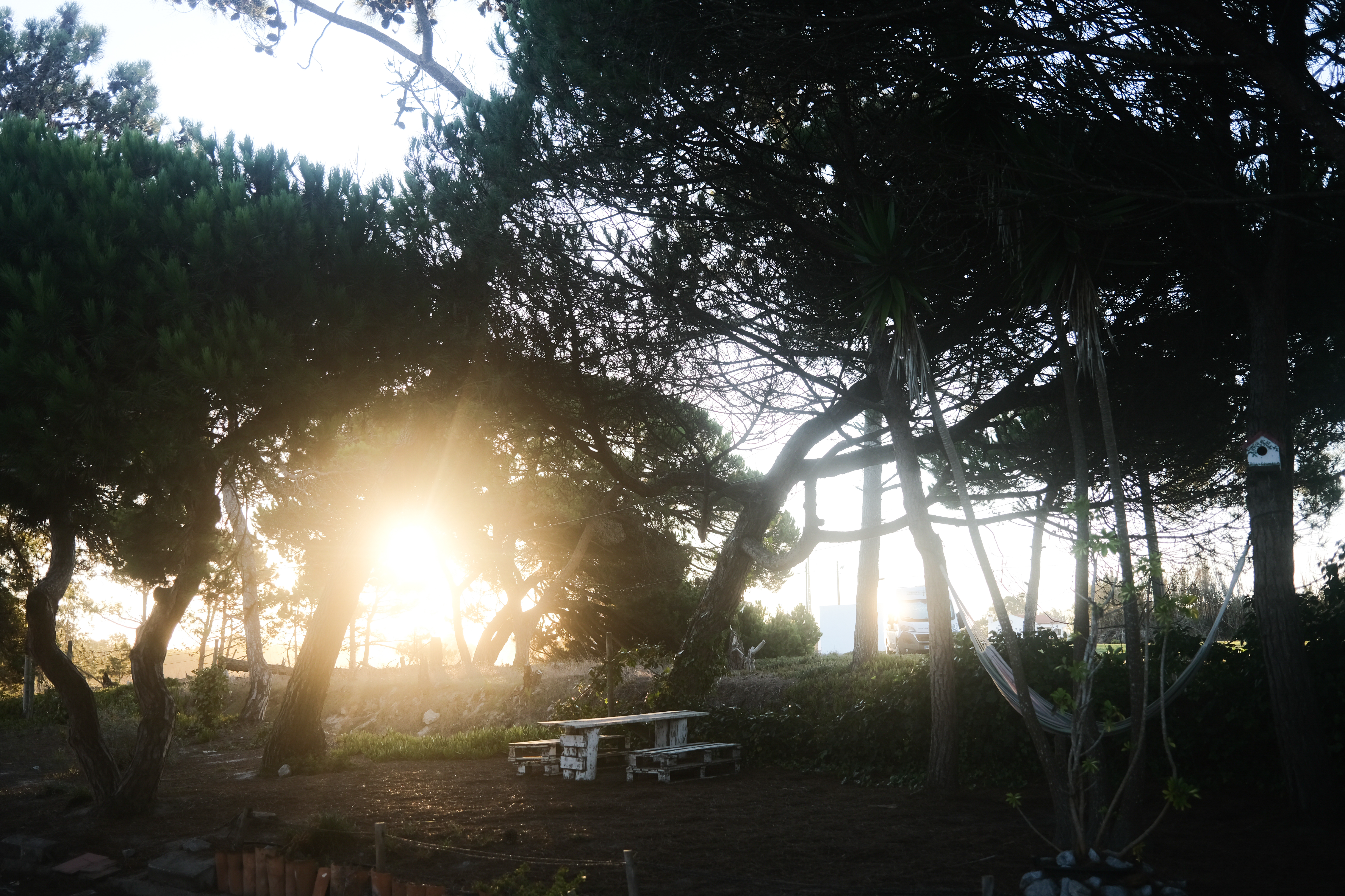 Morning view from Almograve