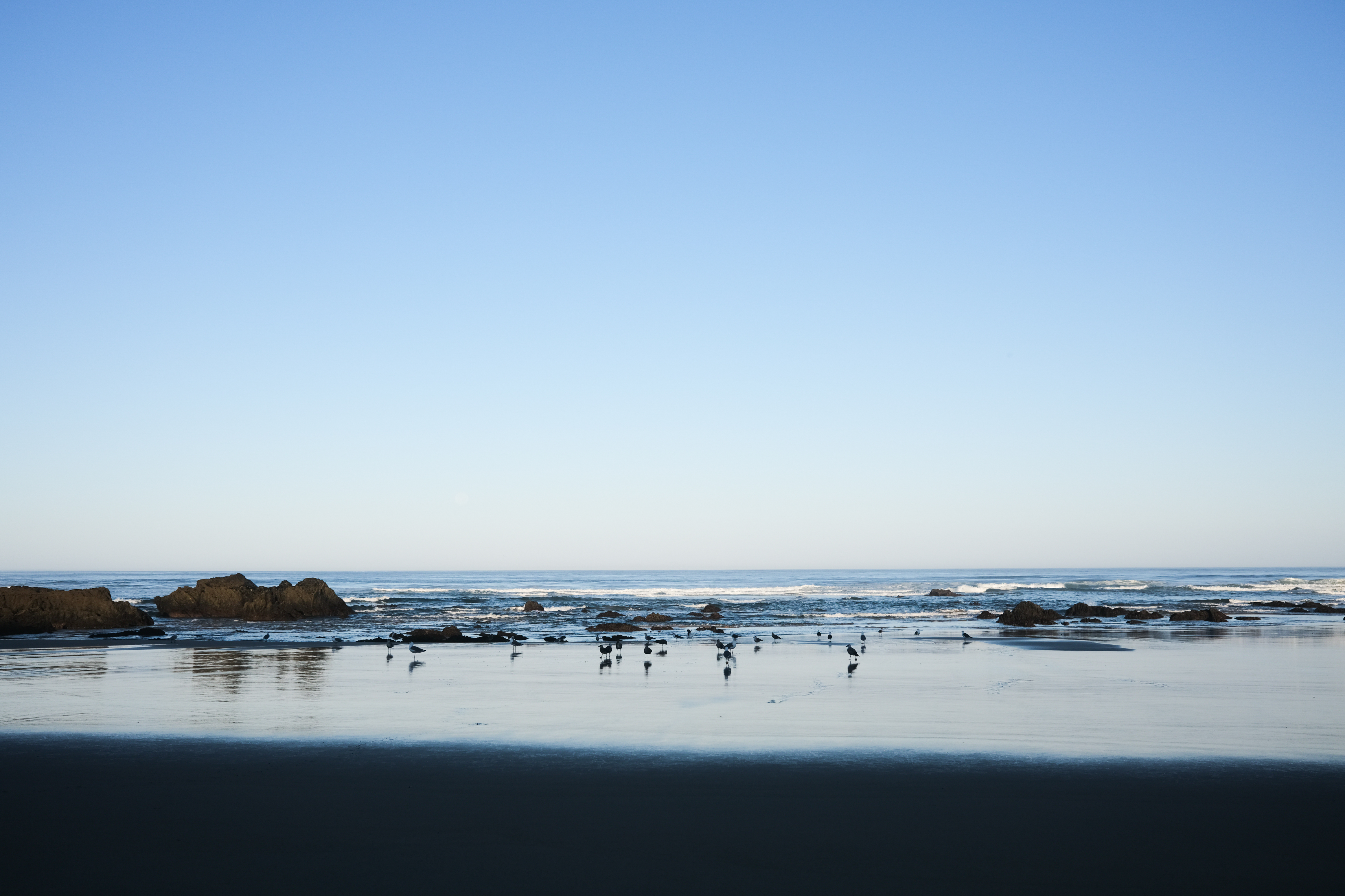 Sandy trail along the coast