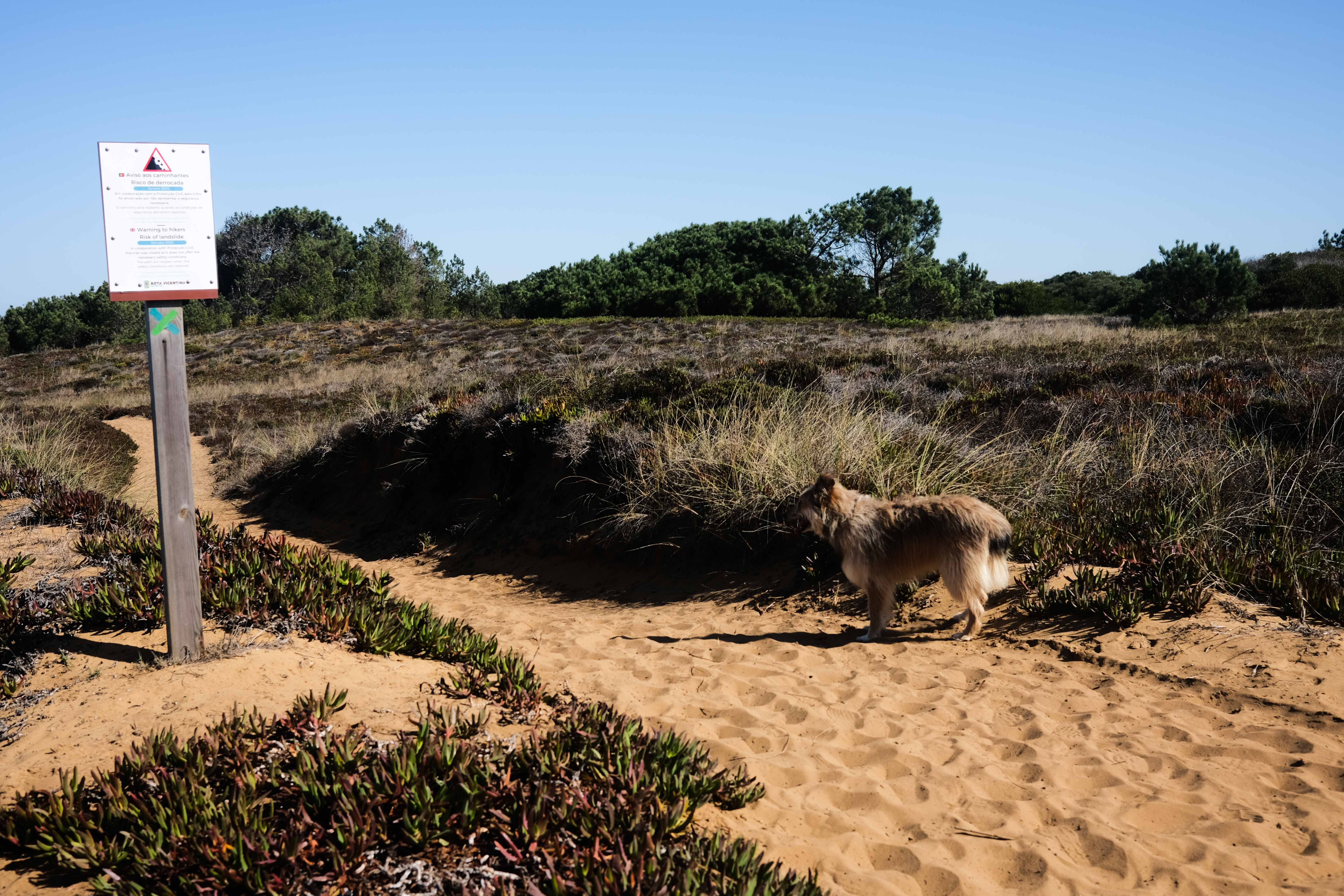 Ocean views along the trail