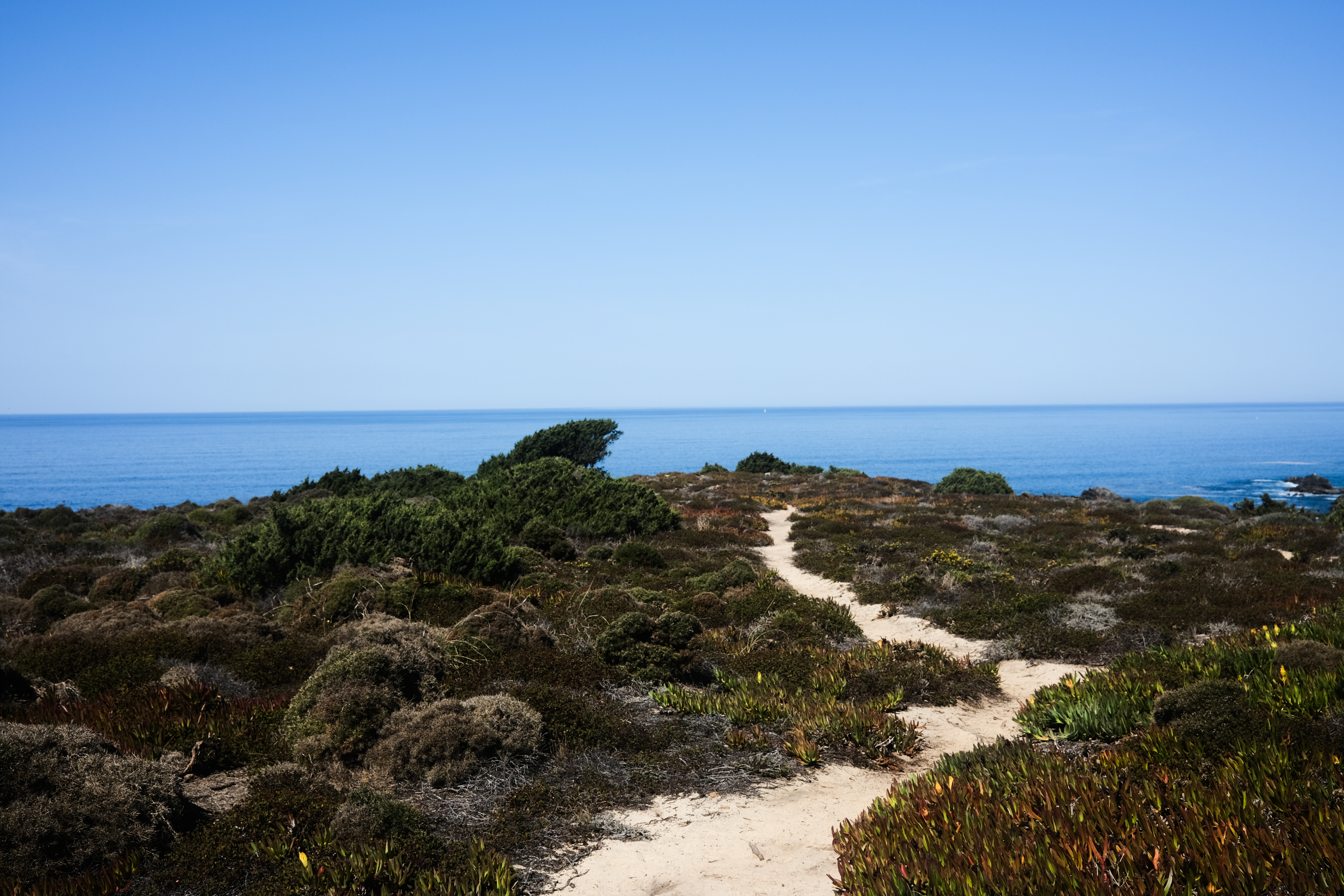 Trail through the landscape