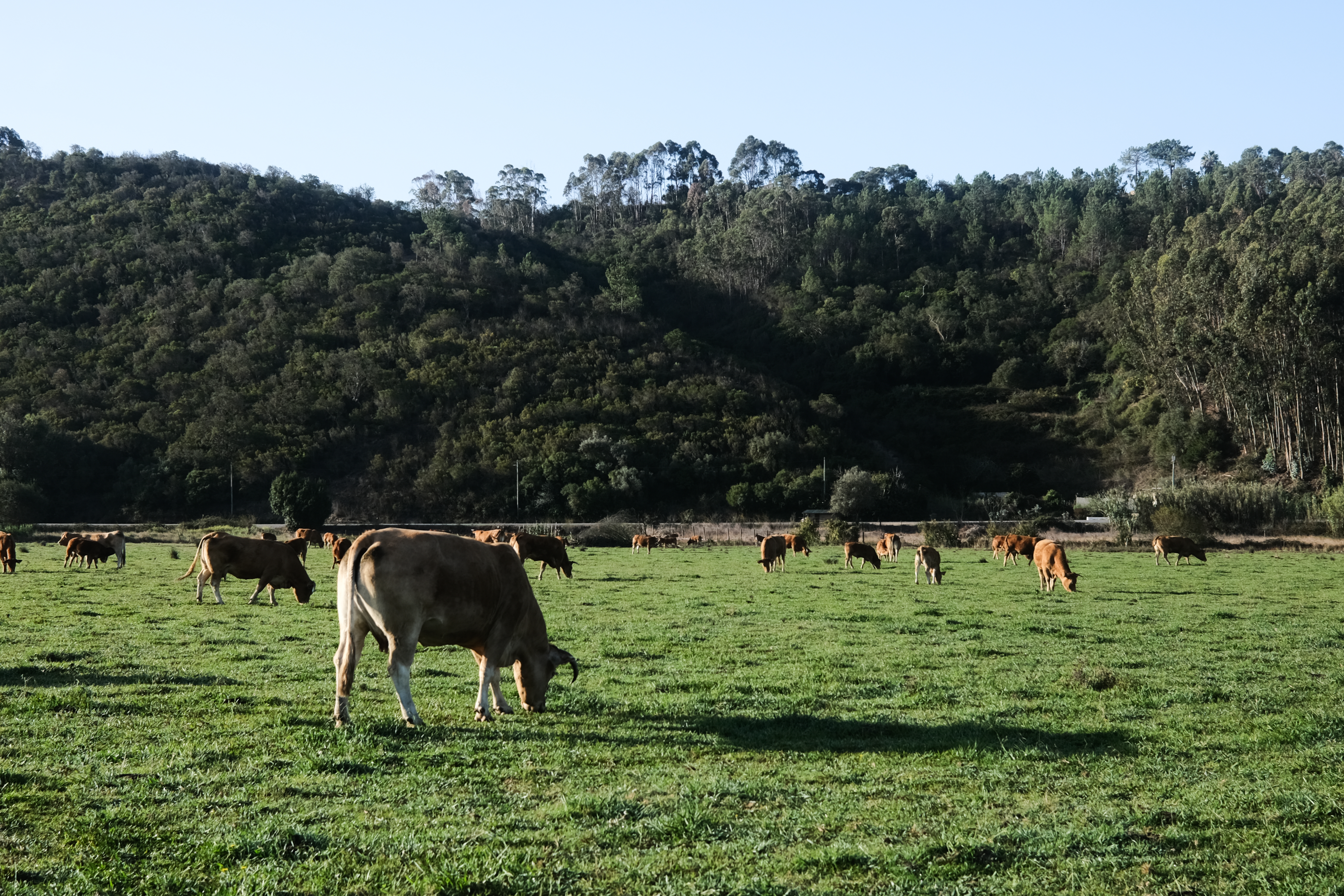 Fisherman's Trail, Day 5