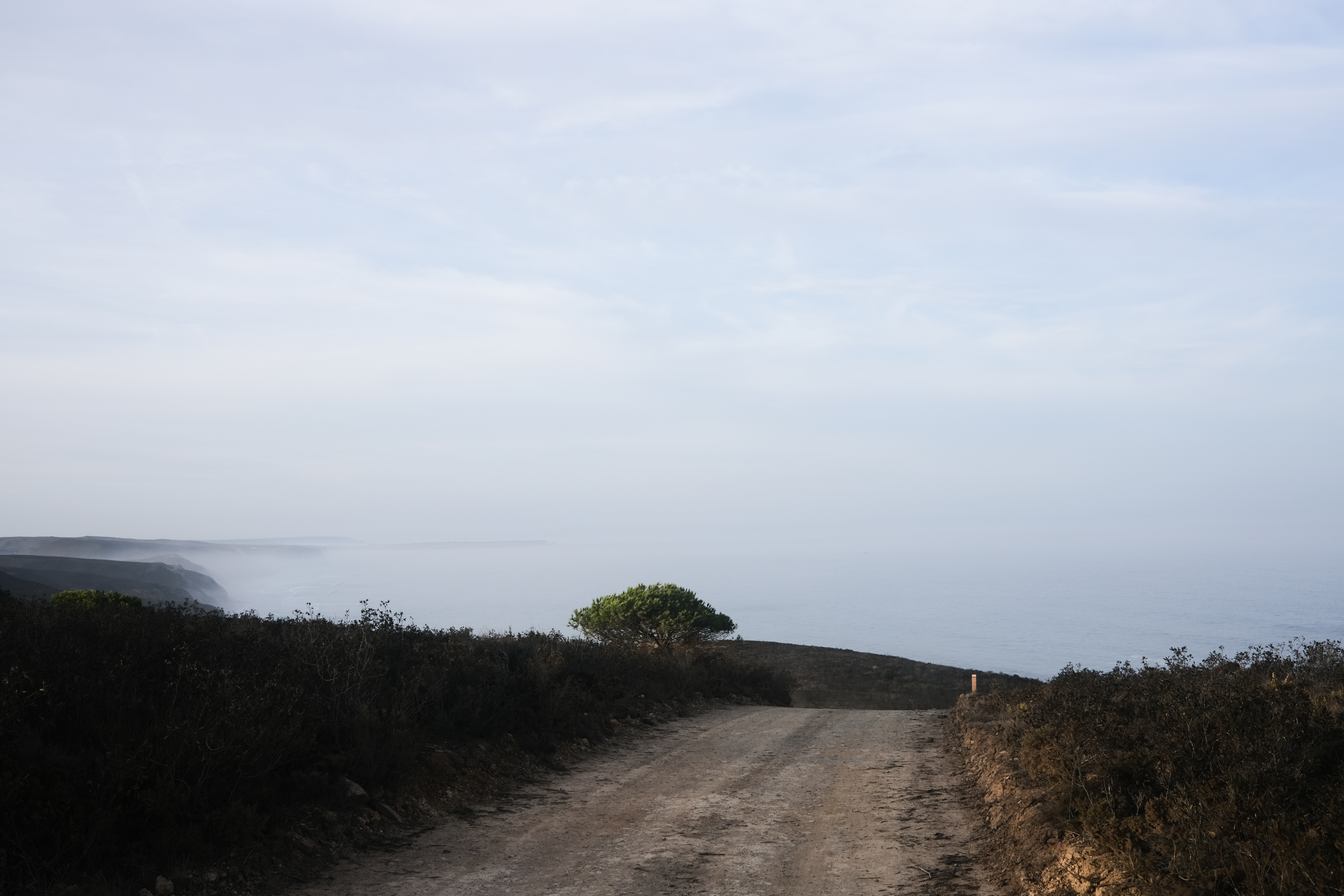 Early morning on the trail