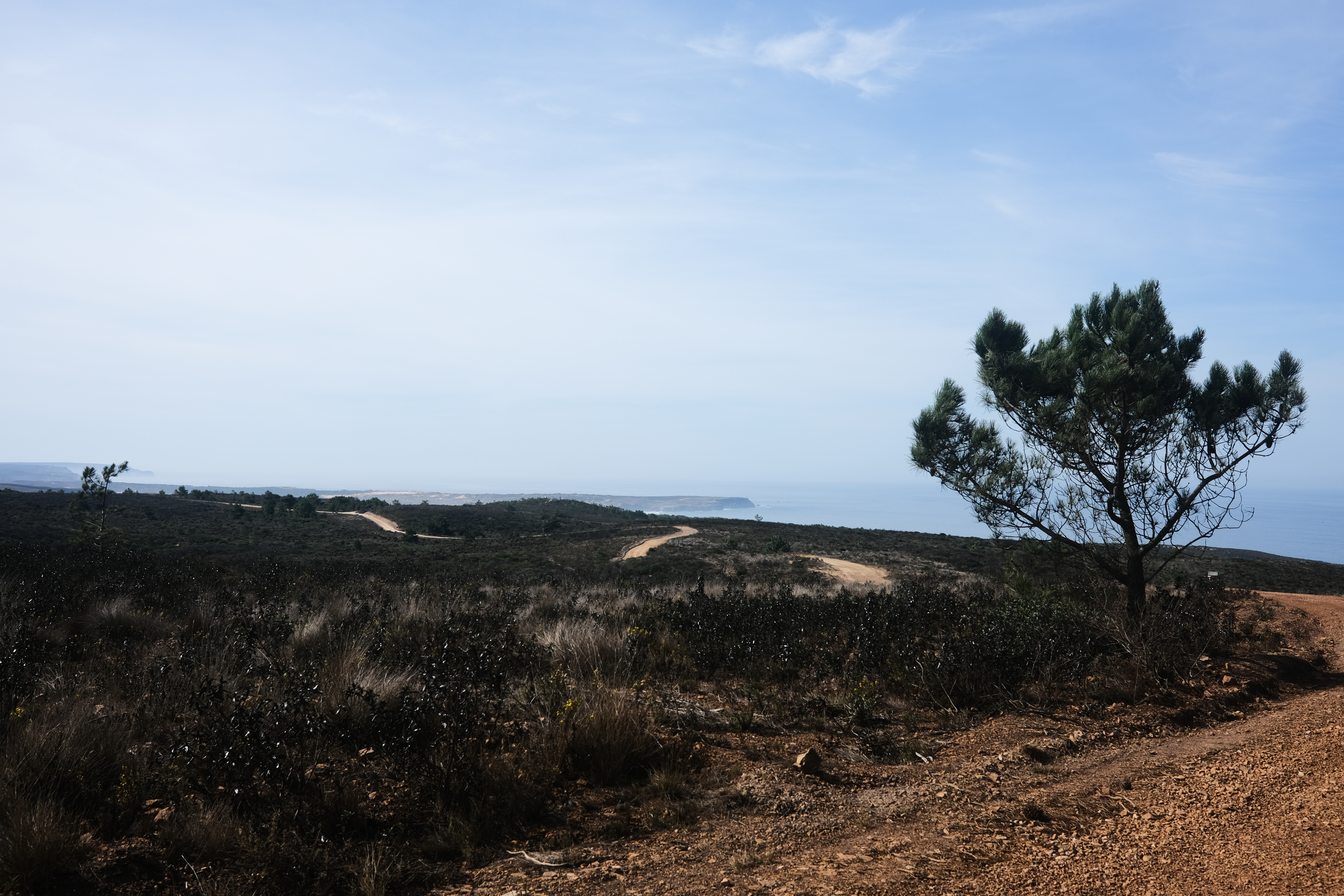 Coastal views through the mist