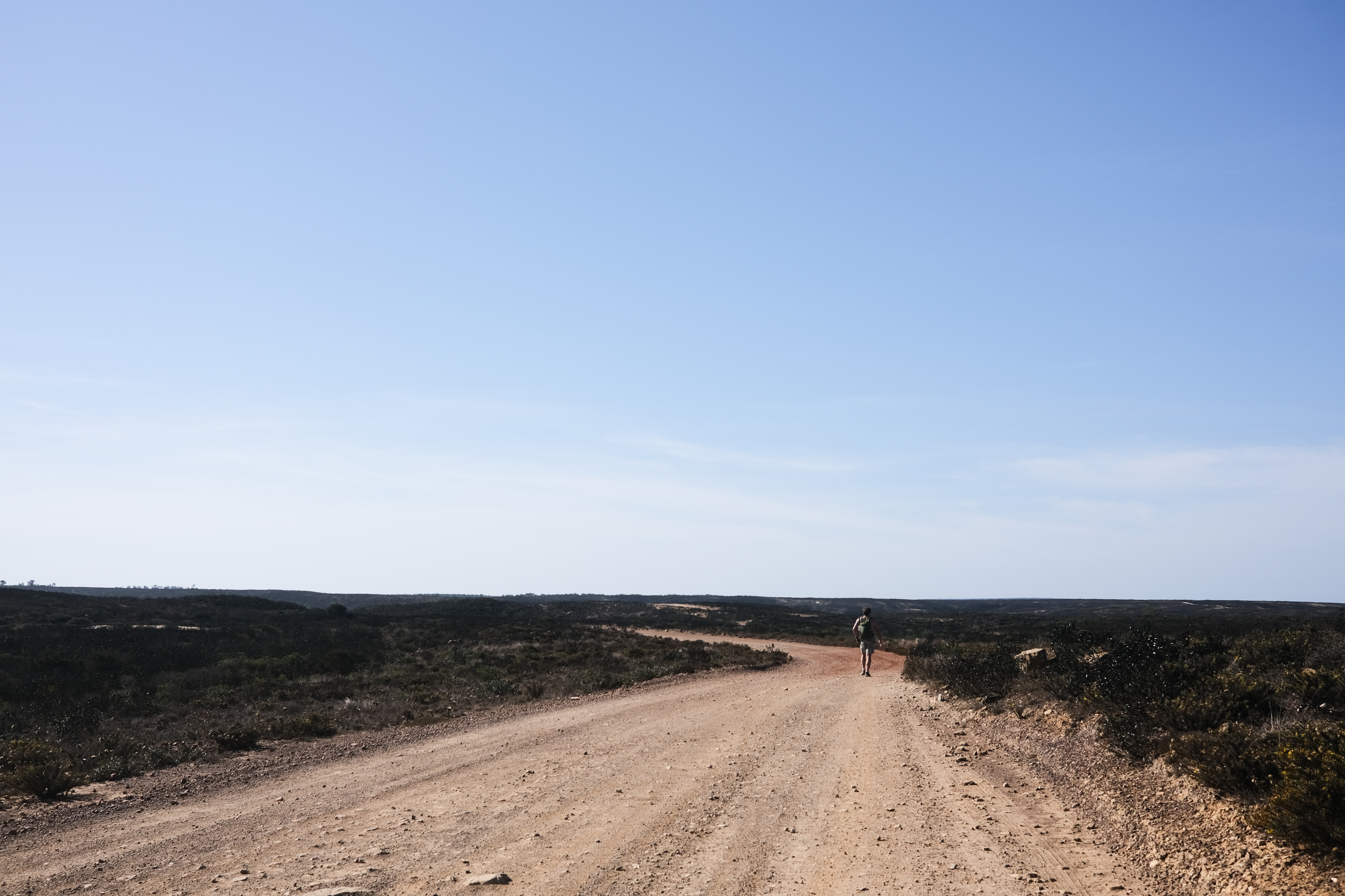 The changing landscape