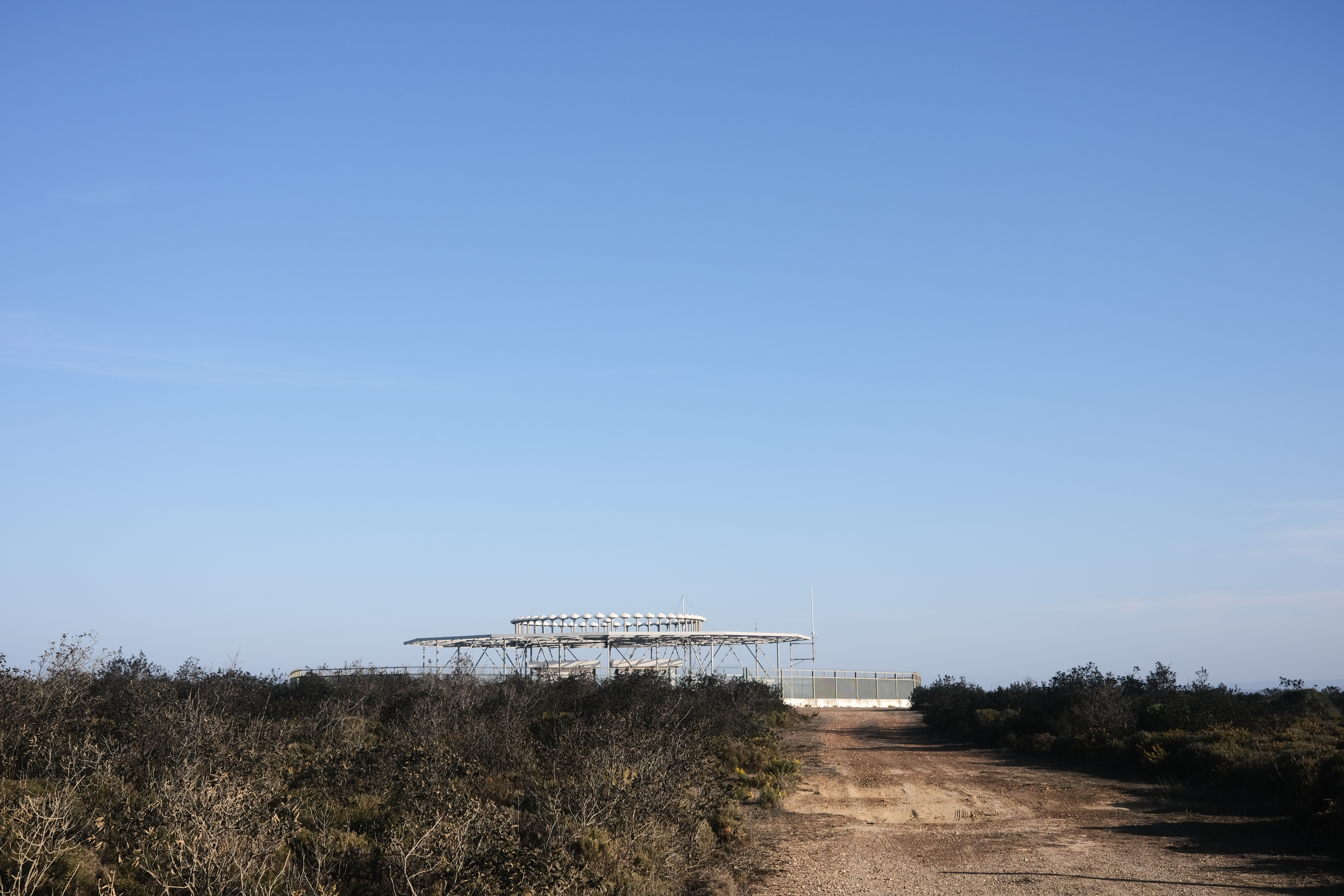 Misty morning on the plains