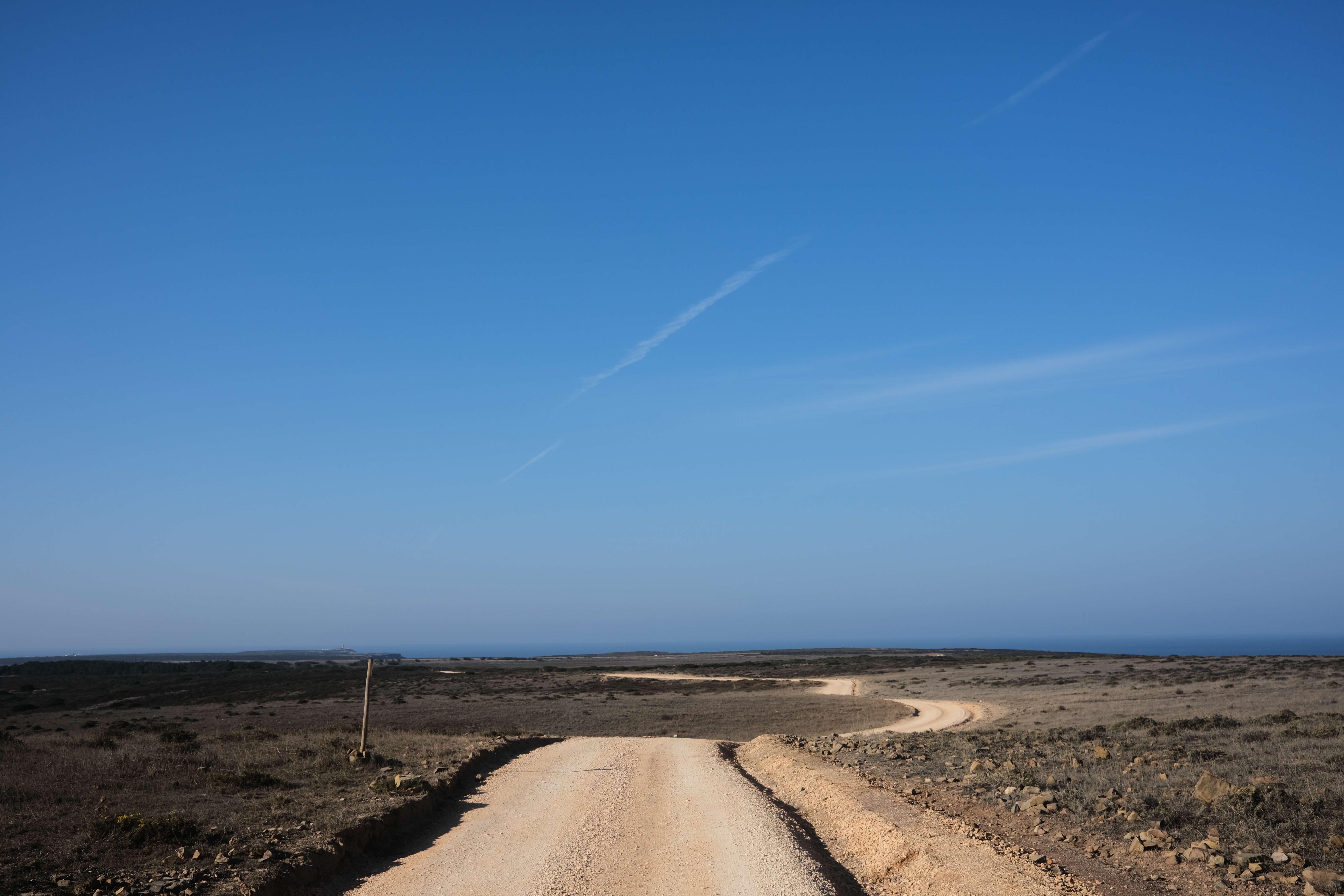 Walking through the plains