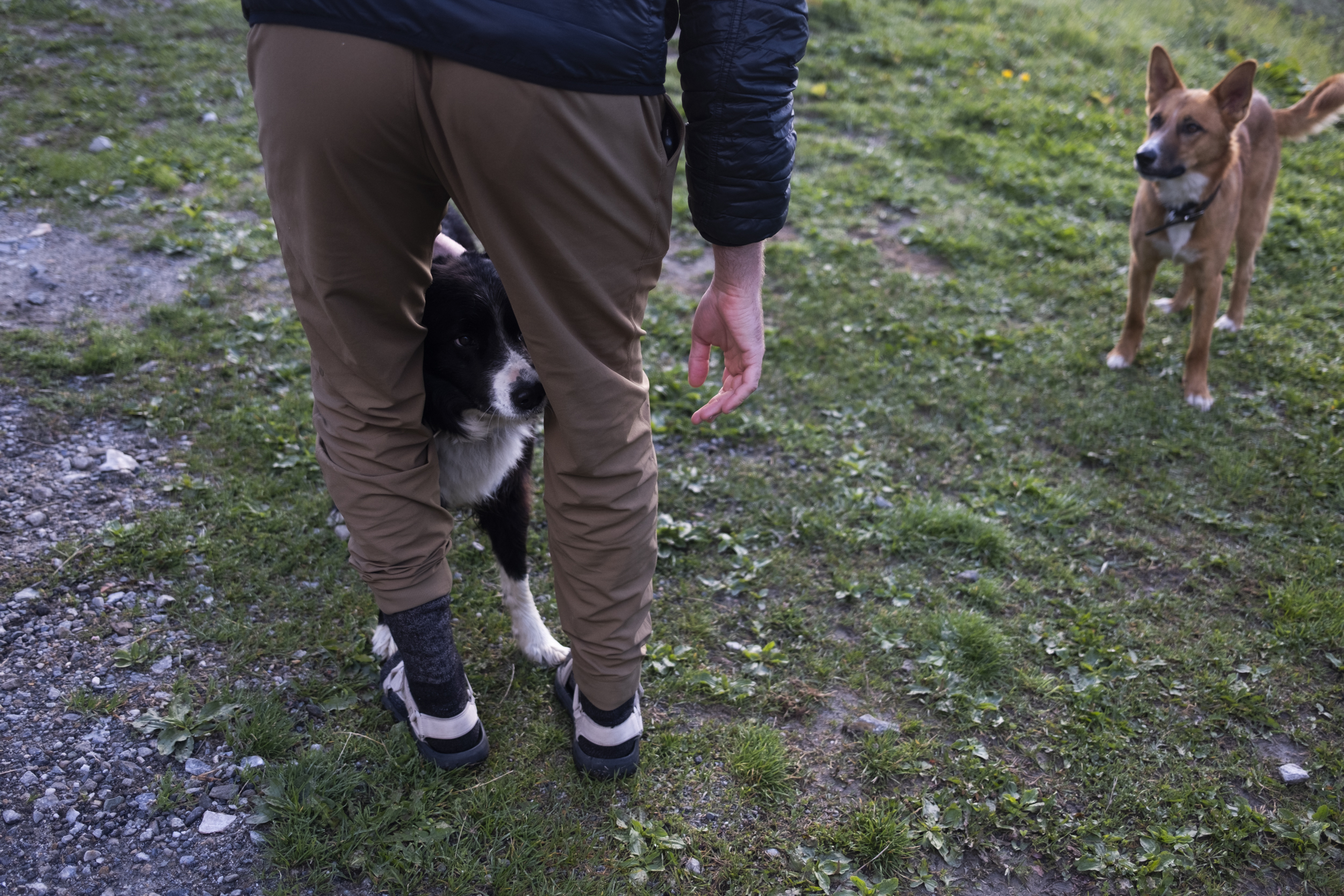 Tour du Mont Blanc, Day 4