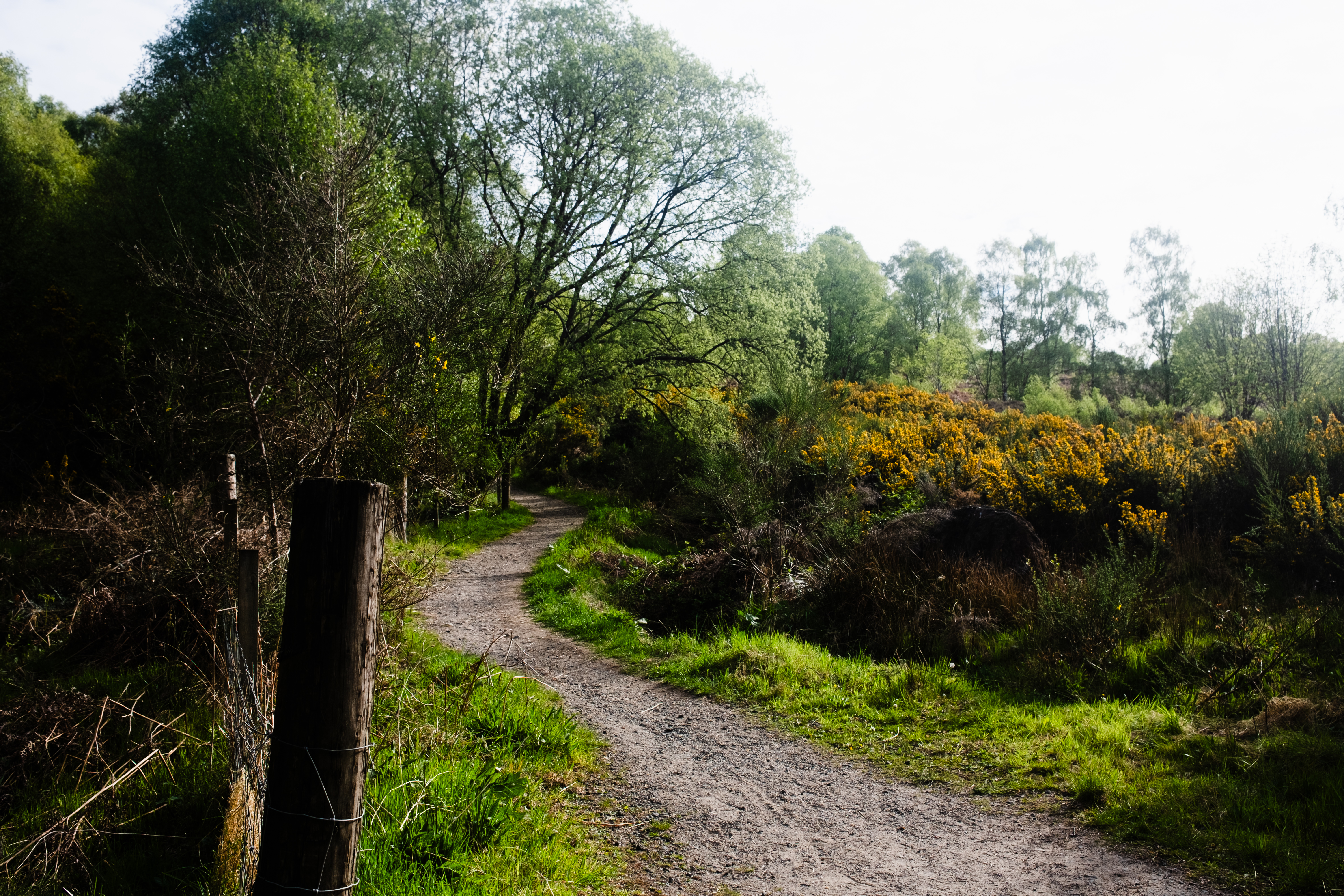 Trail outside of Milngavie
