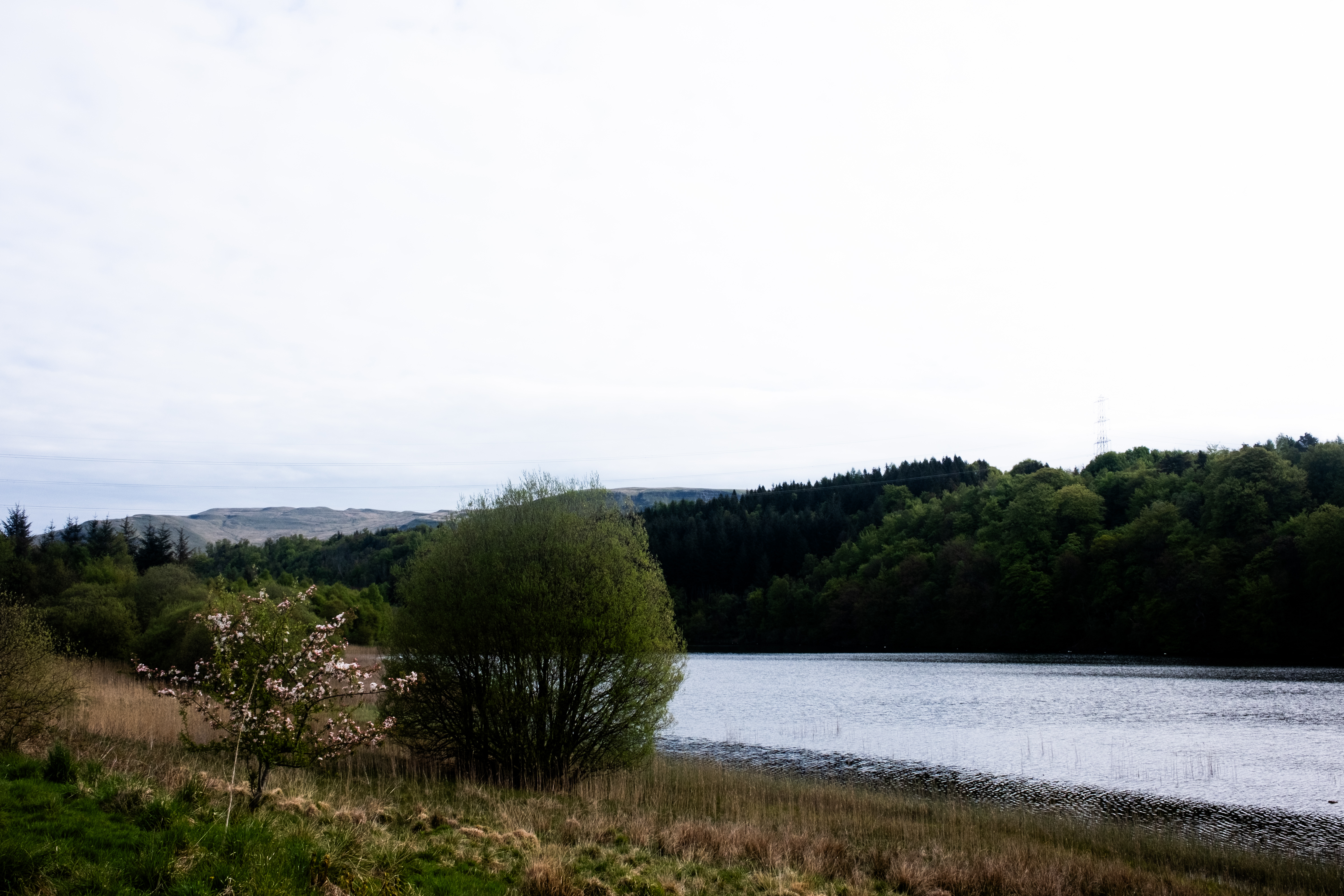 One of the lochs before Loch Lomond