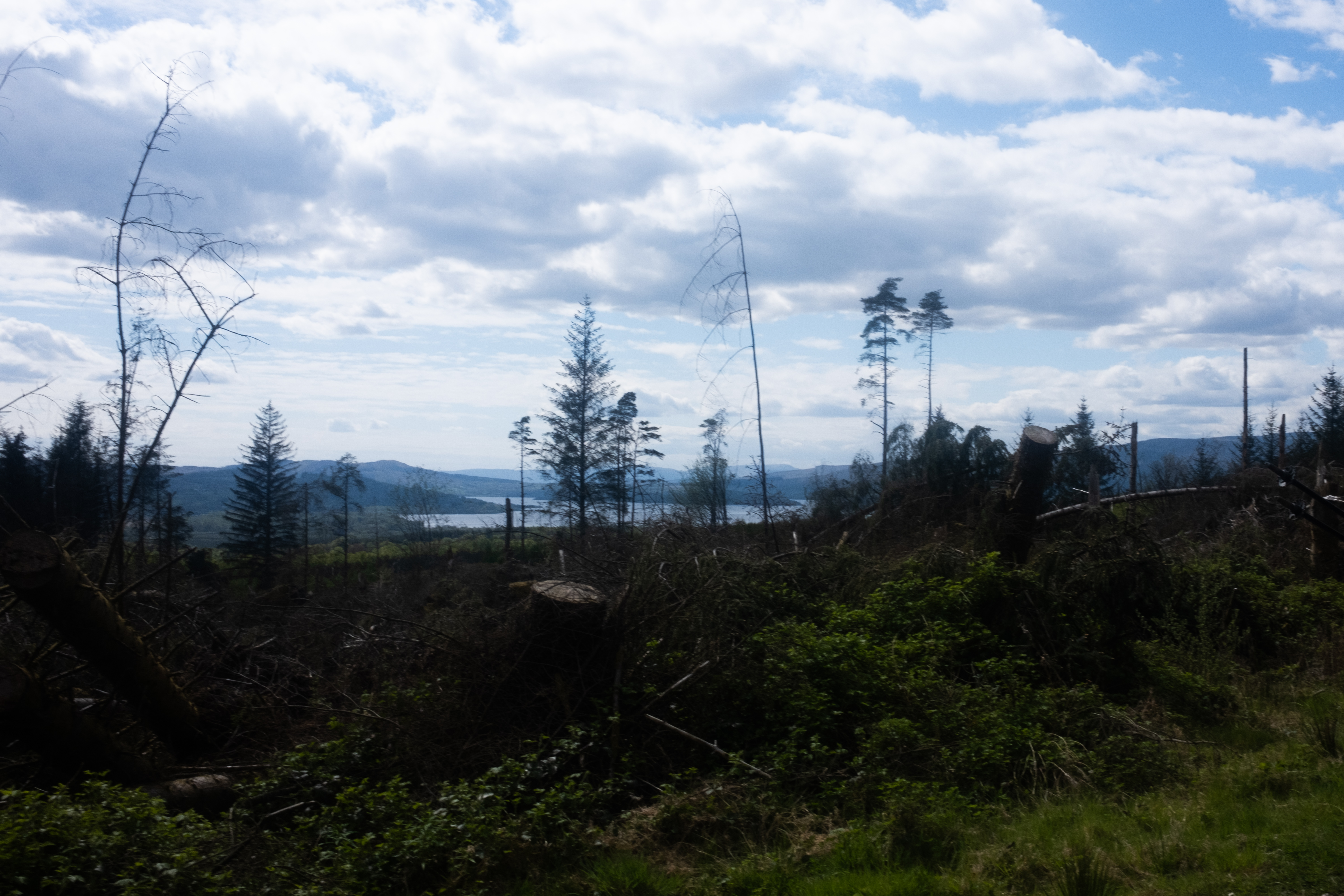 Our first view of Loch Lomond from afar