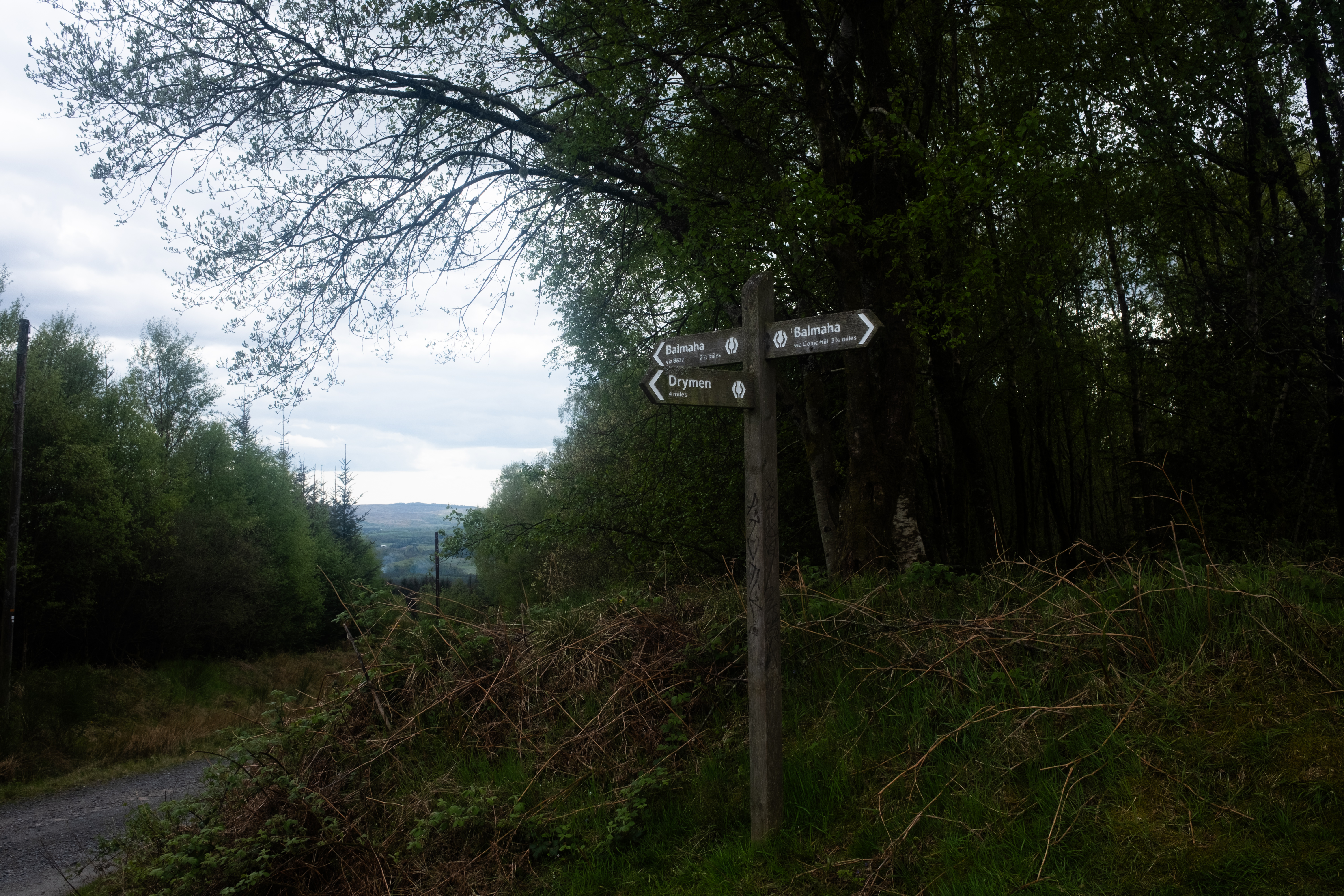 The two paths to Balmaha: via Conic Hill or town, in case of bad weather