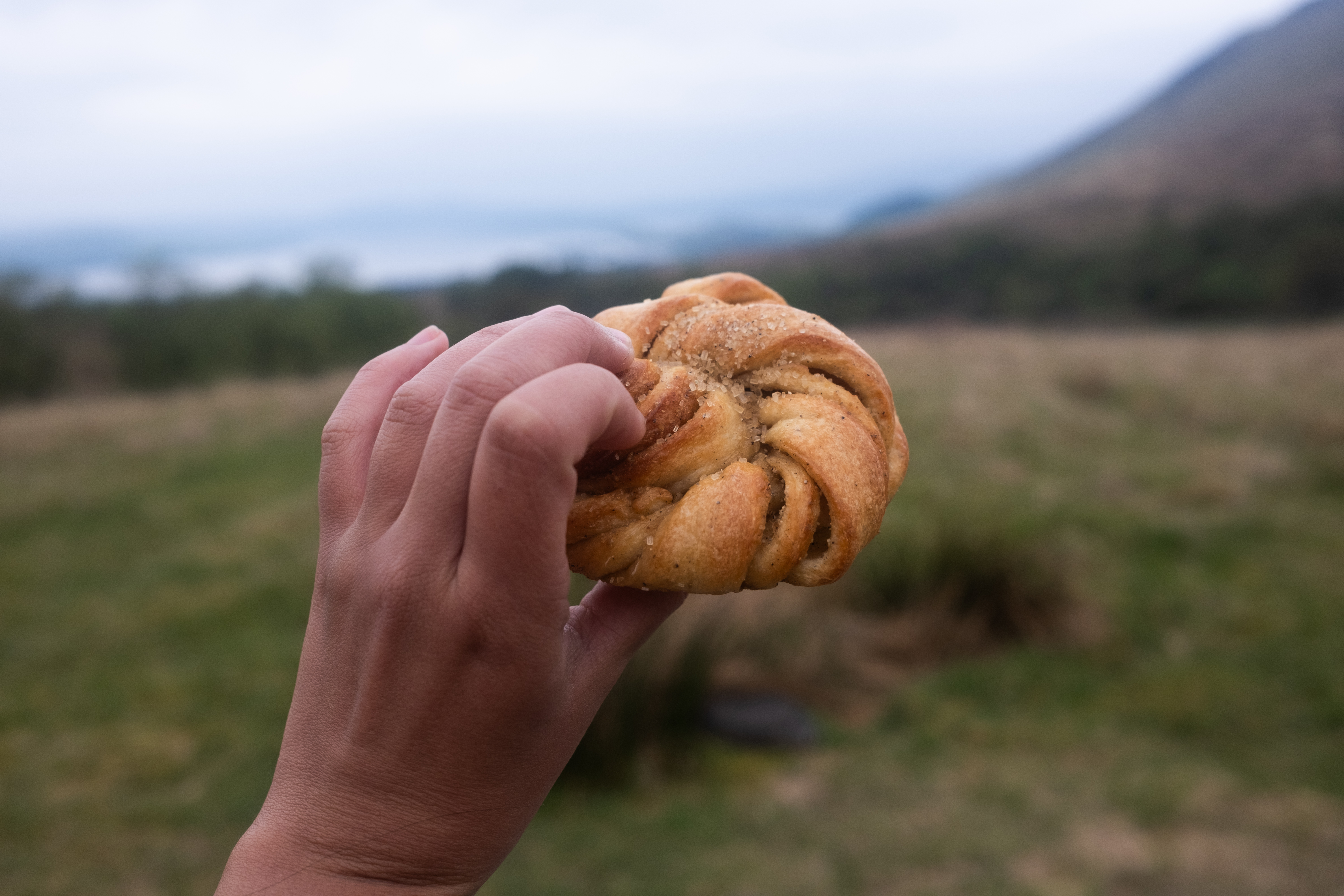Cardamom bun