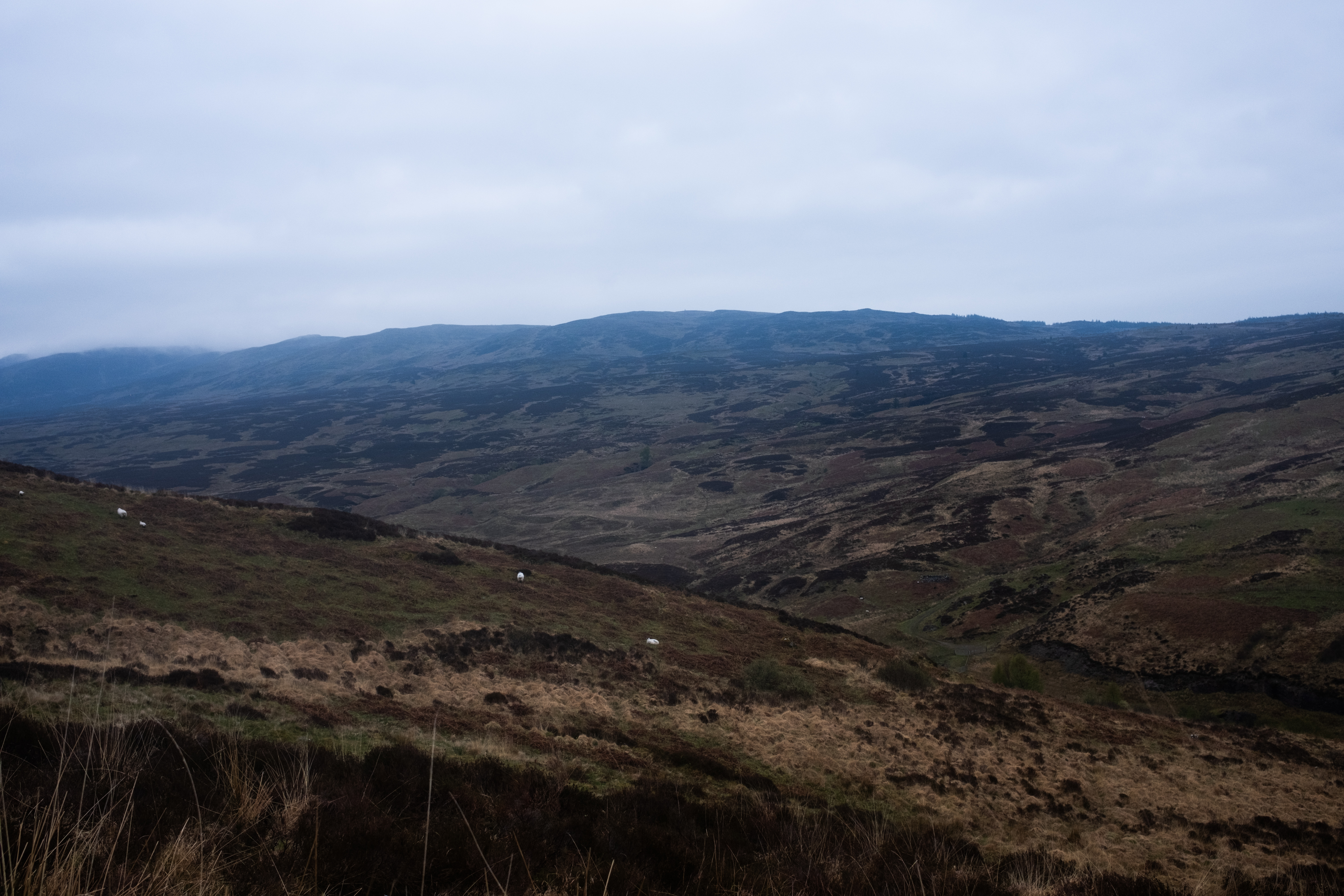 The expansive view