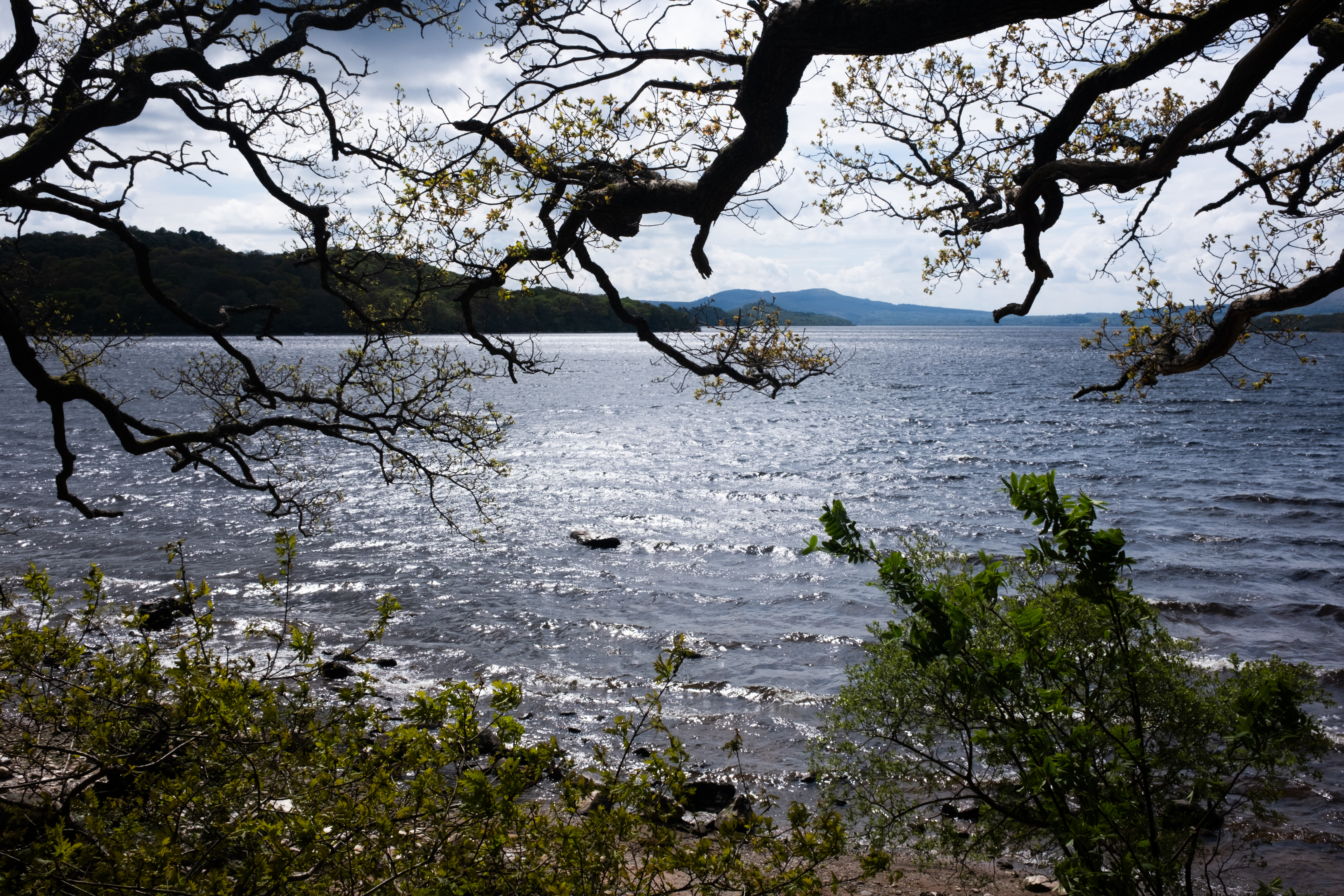 Hiking by Loch Lomond
