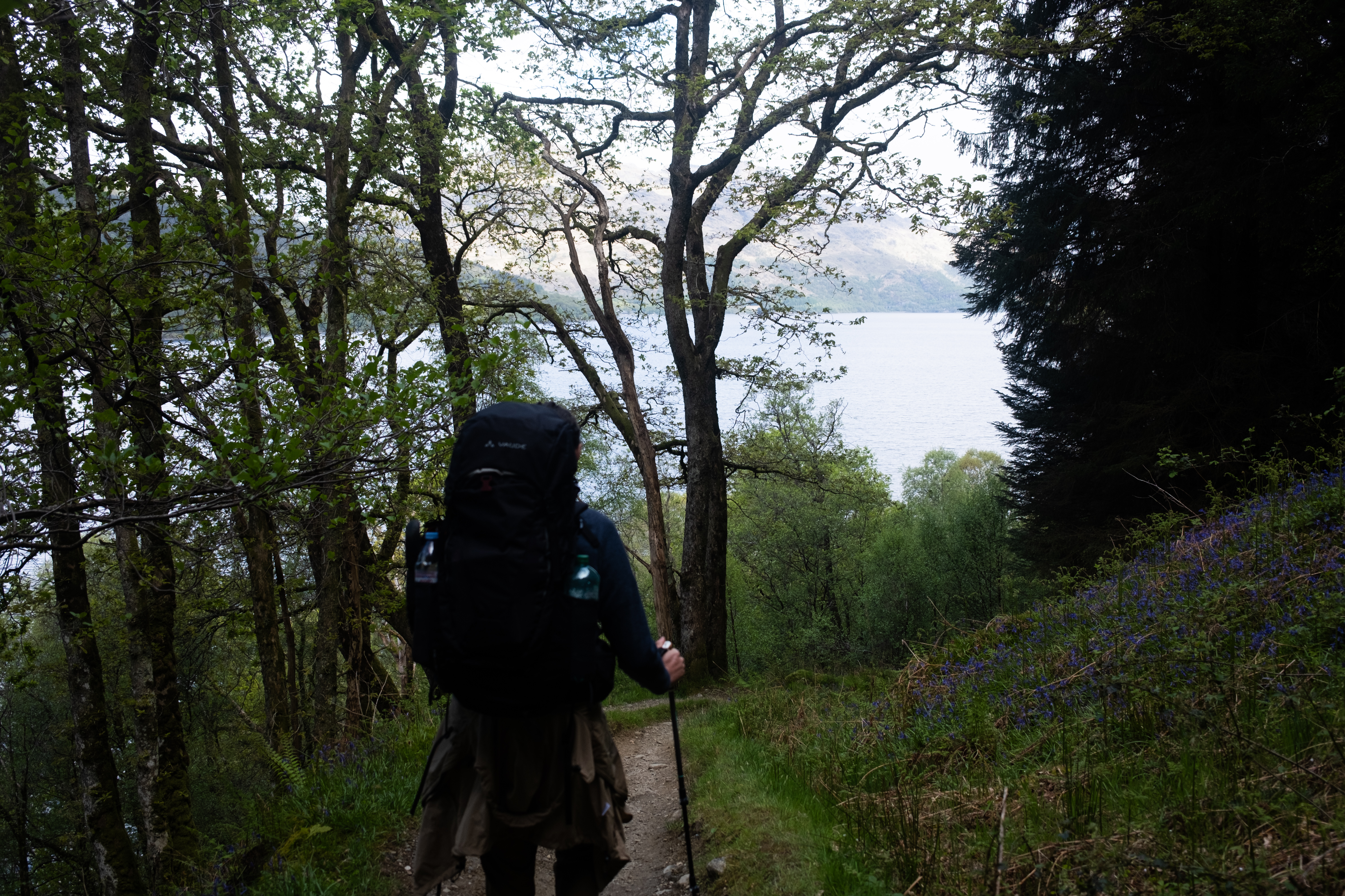 Descending to the shore