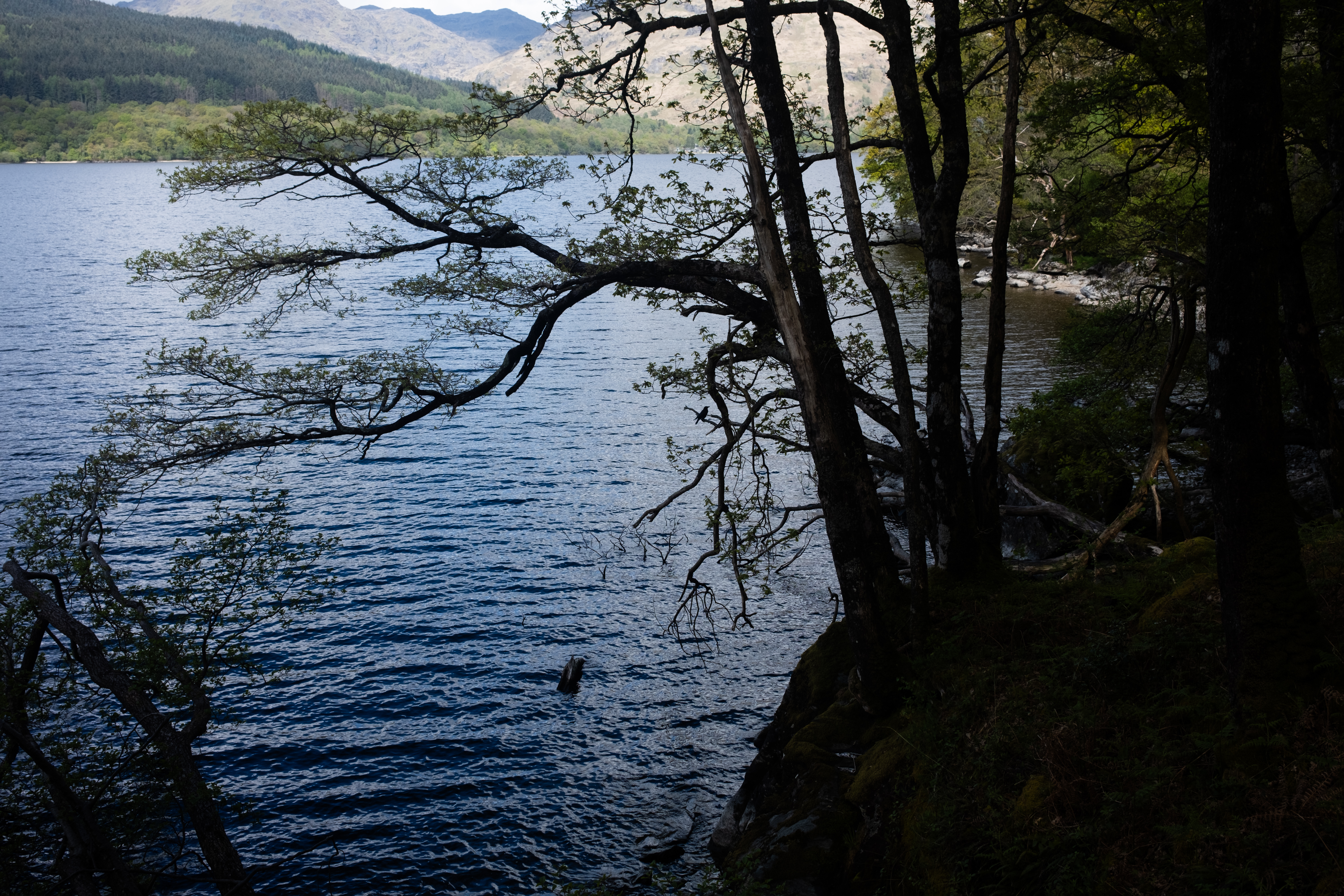 Loch Lomond from the trail