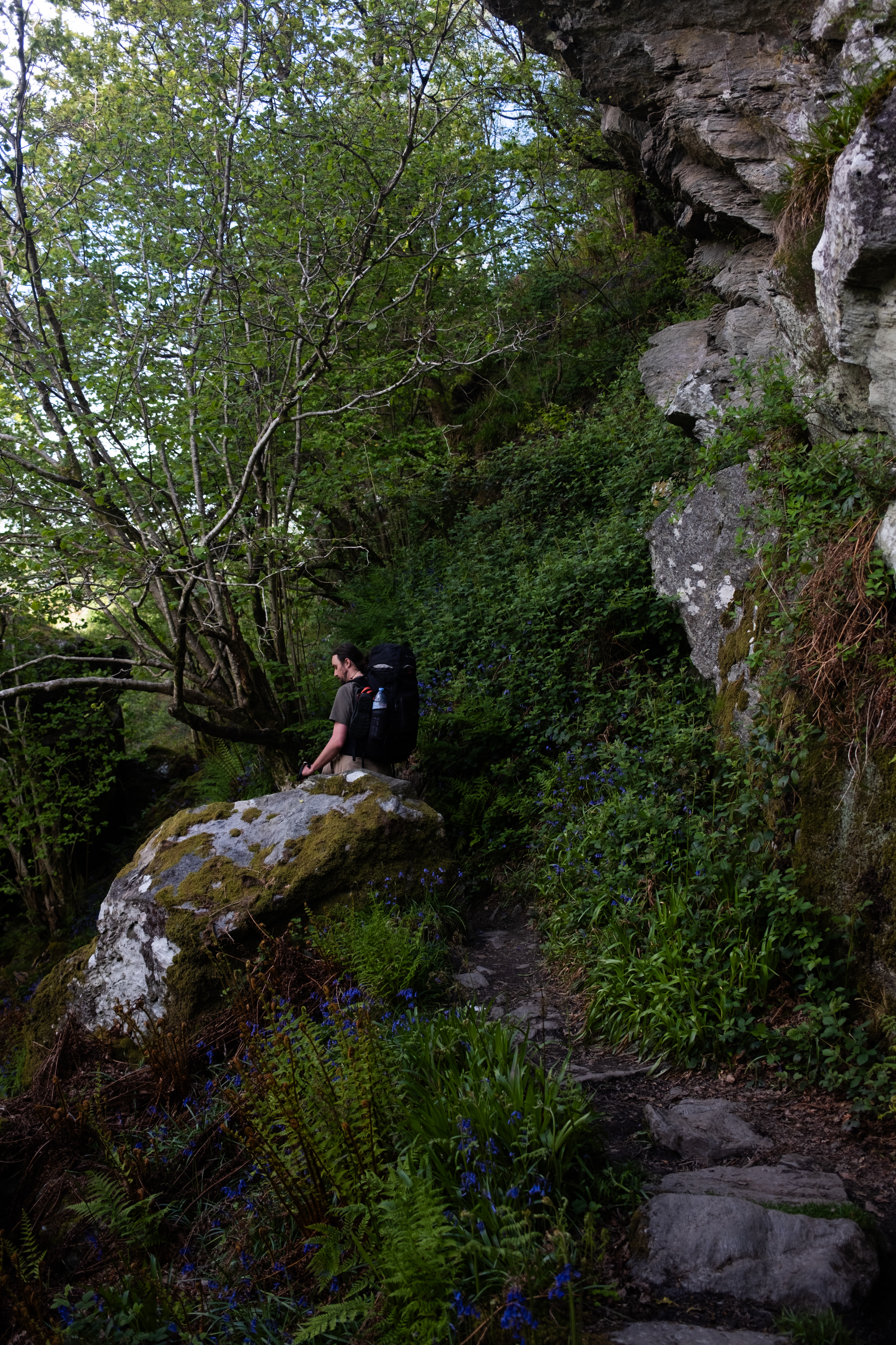 Traversing the garden-like trail