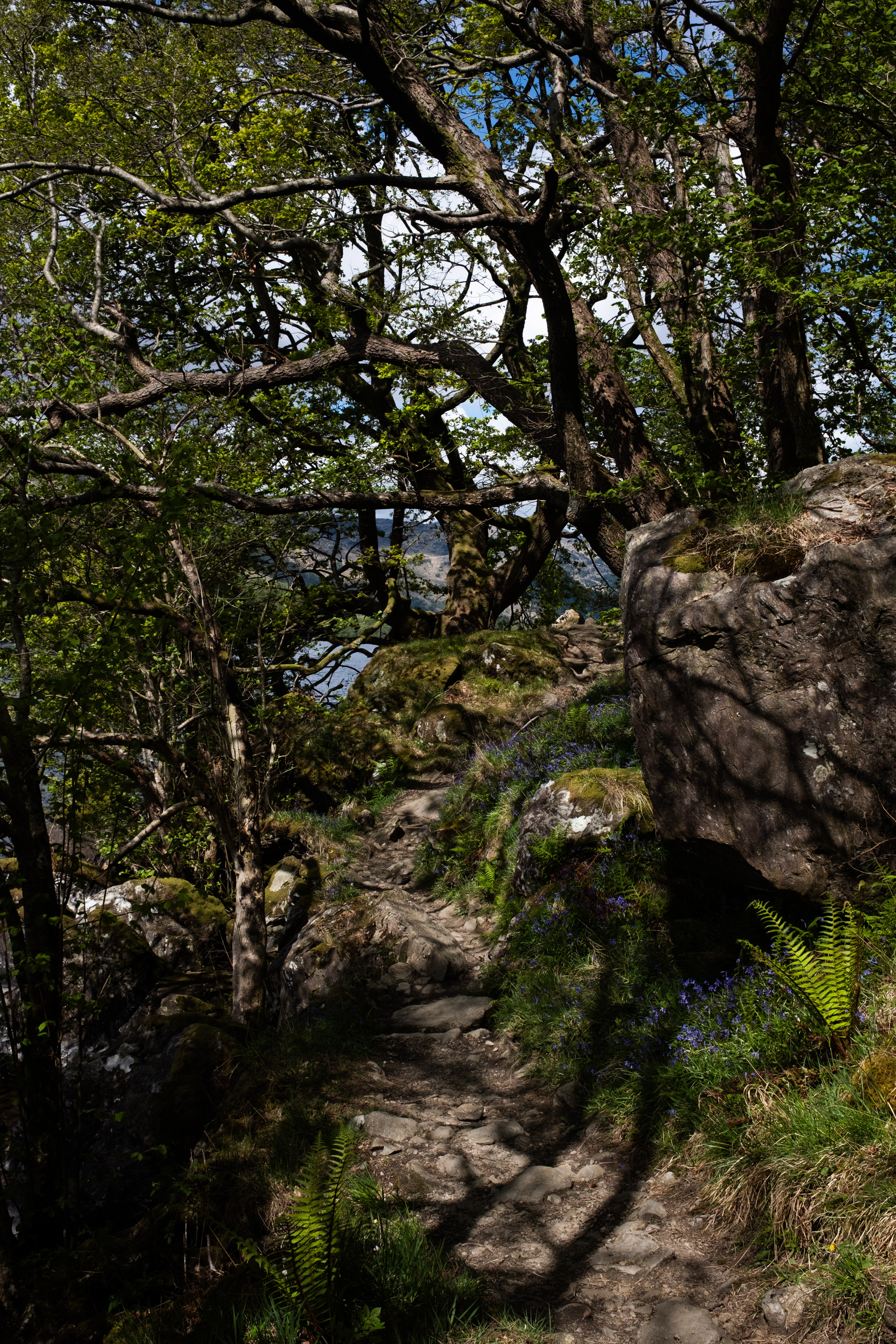 One of the many natural stairs on the trail