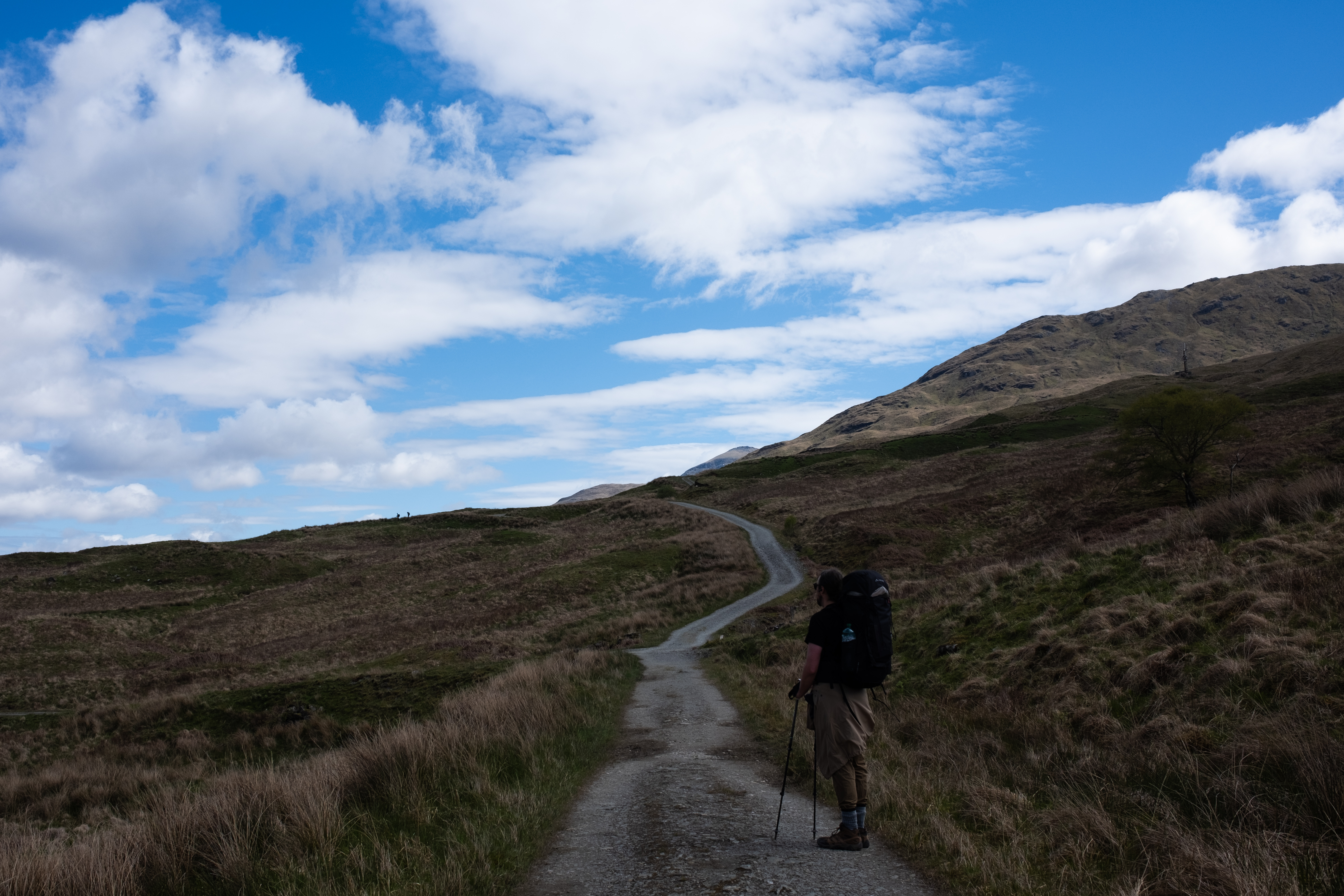 The road ahead
