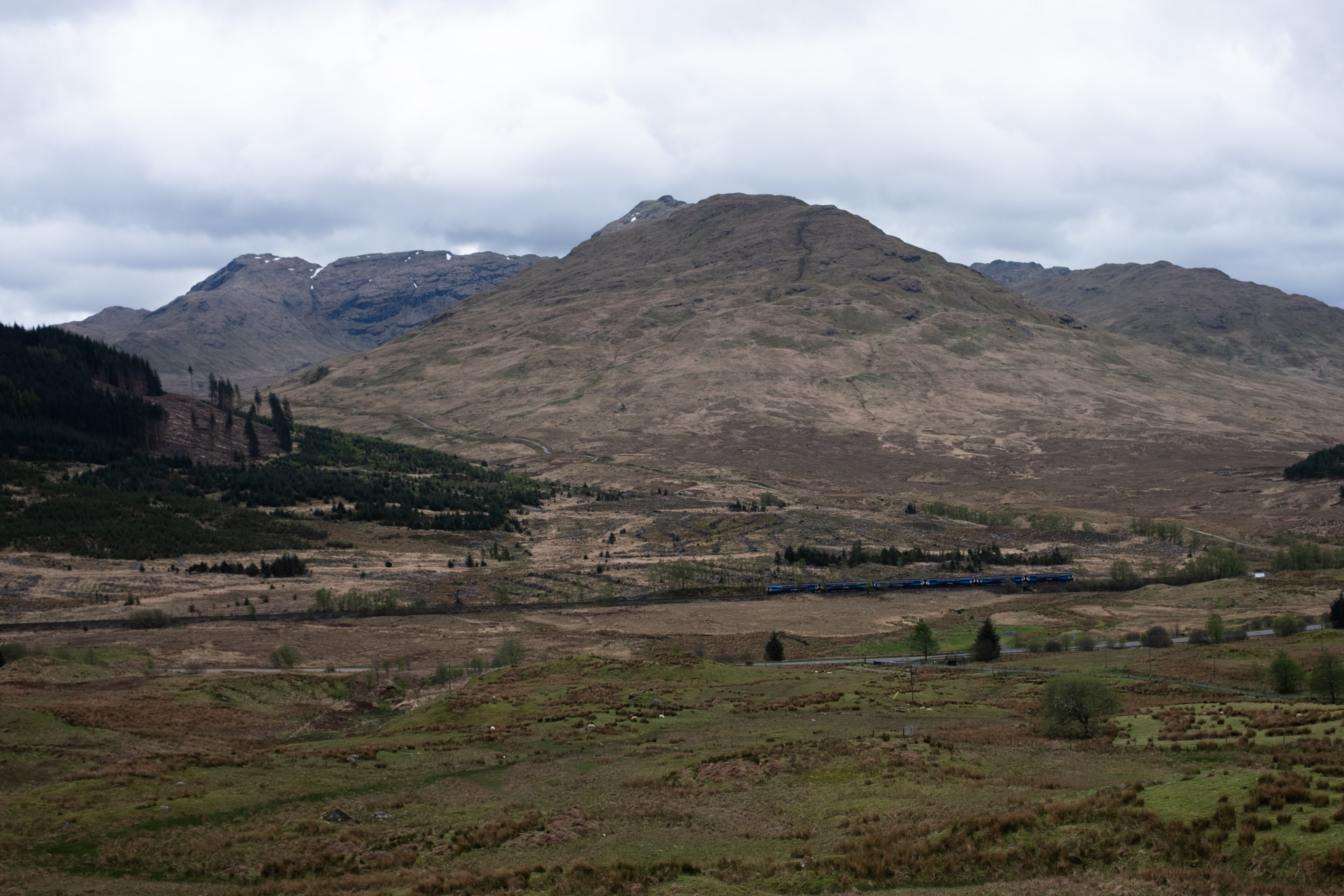 The train from afar