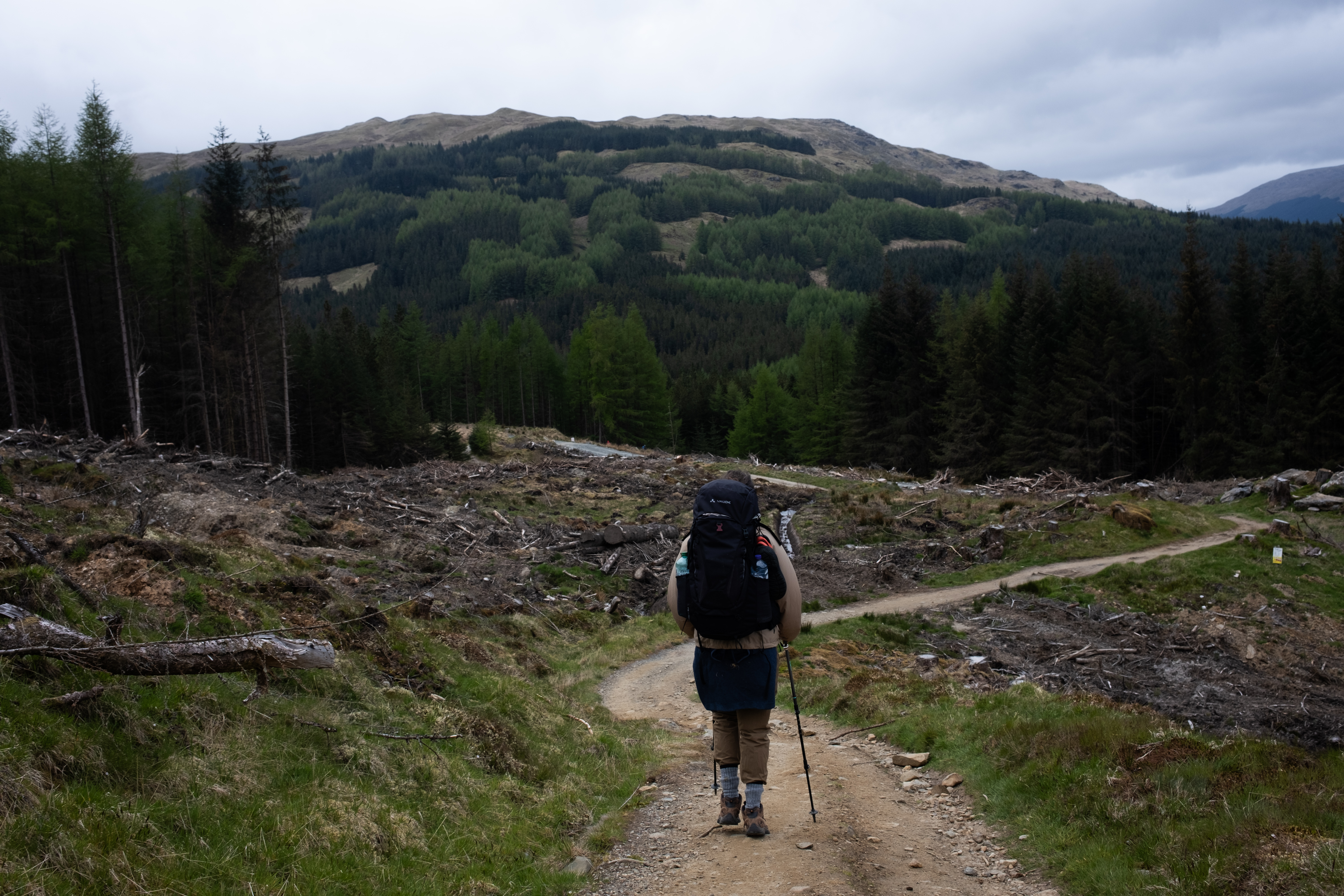 Forestry work