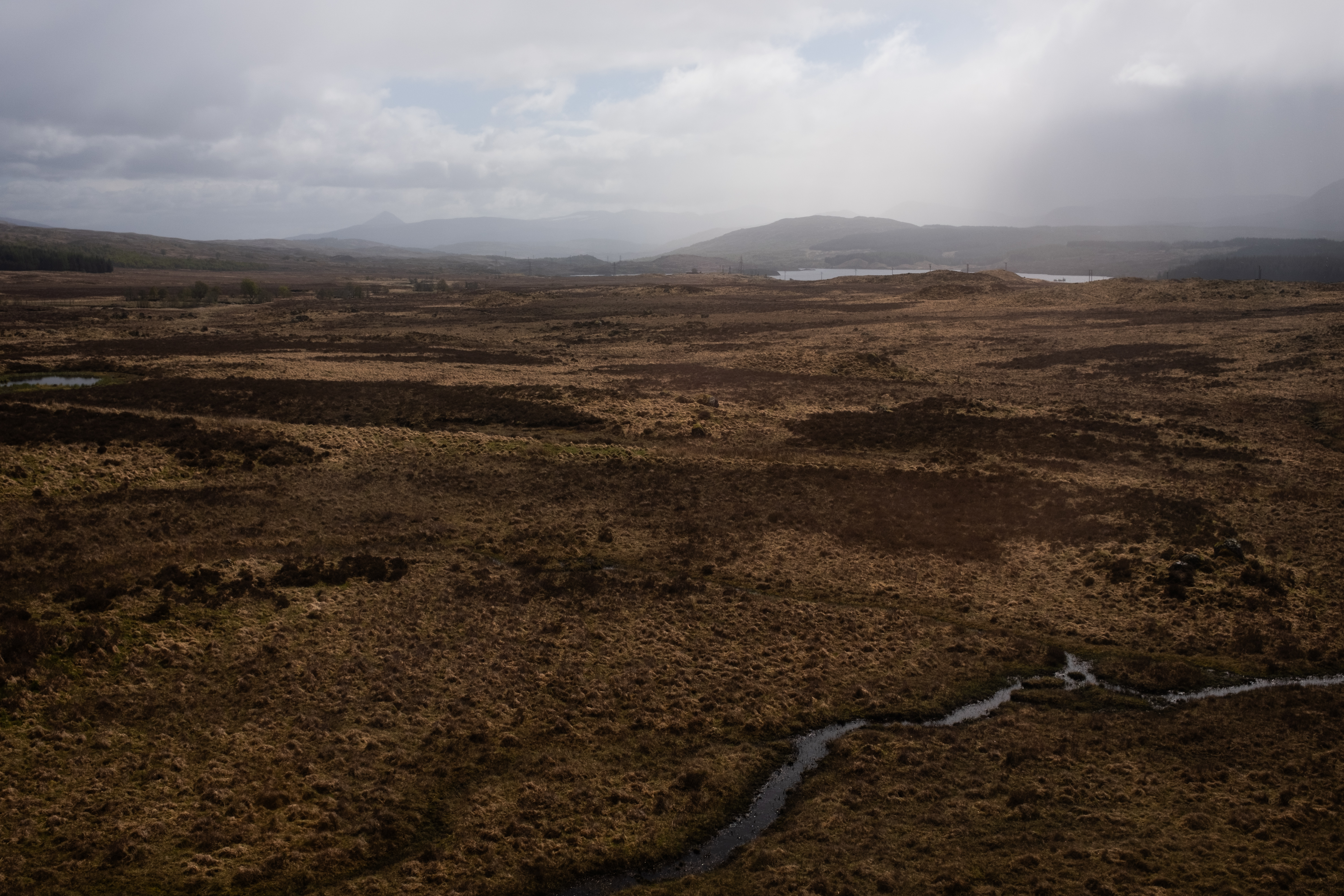 The moor from the train to Fort Williams